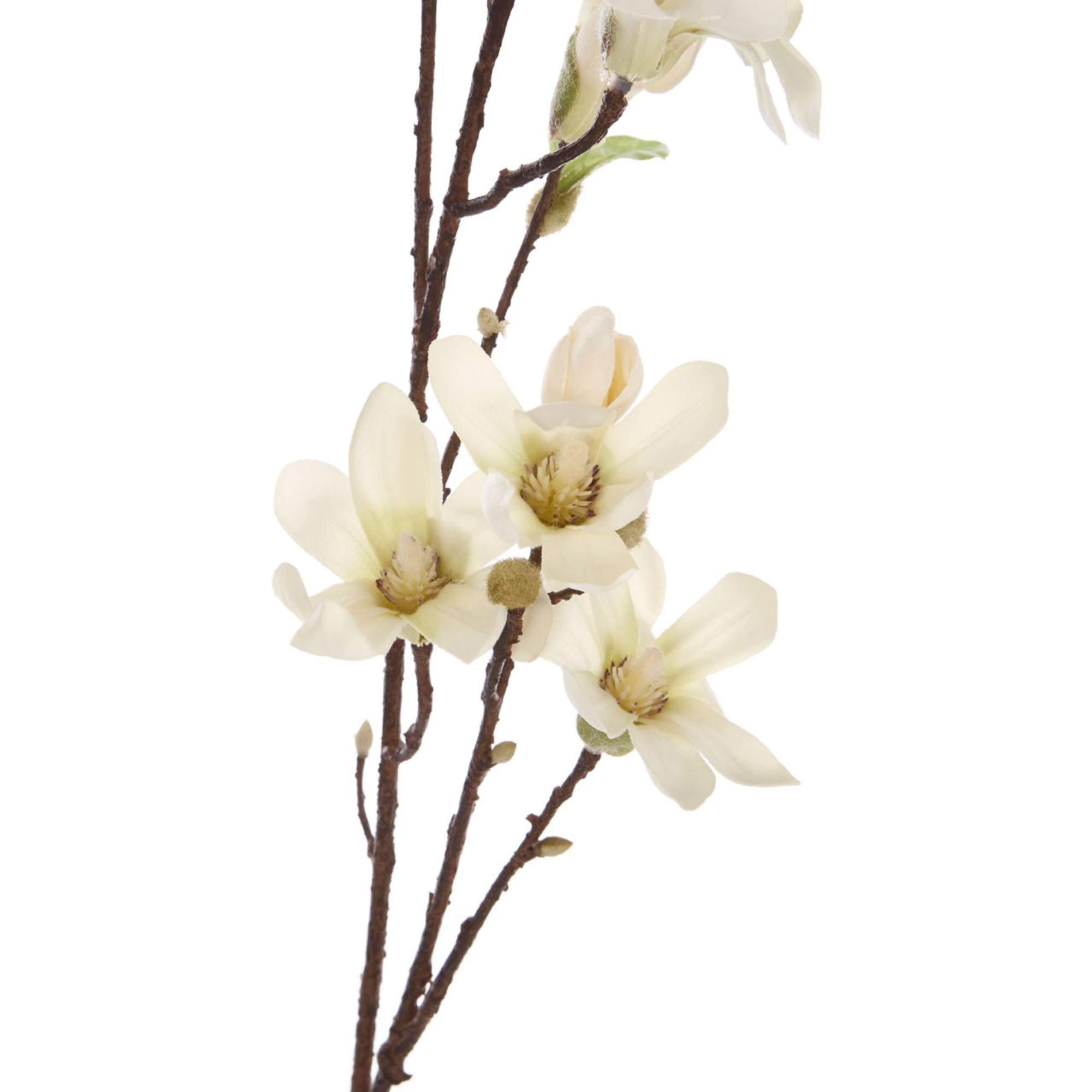 Faux Magnolia Stem - BBFPP14