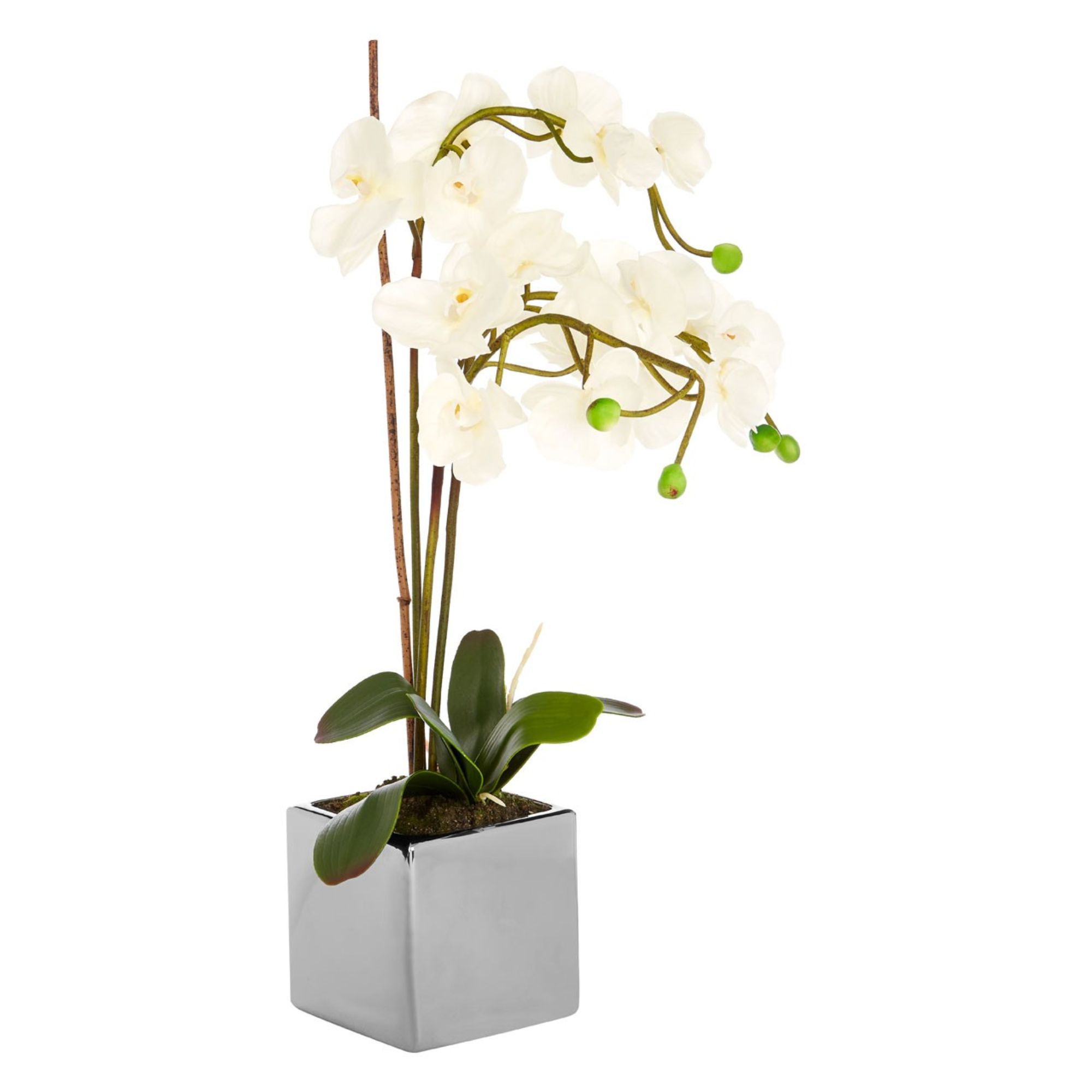 Faux White Orchid Plant - BBFPP17