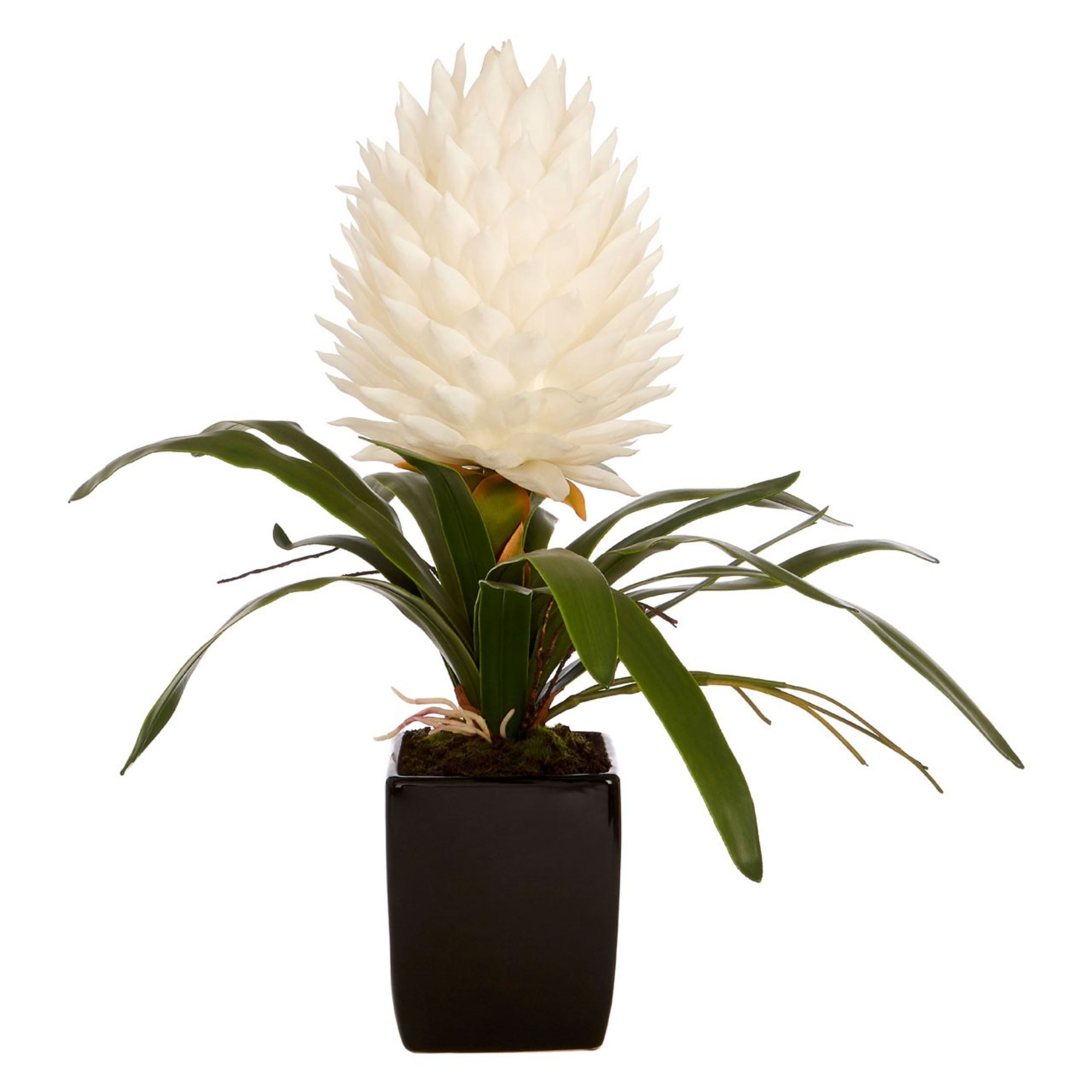 Faux White Tropical Plant - BBFPP18