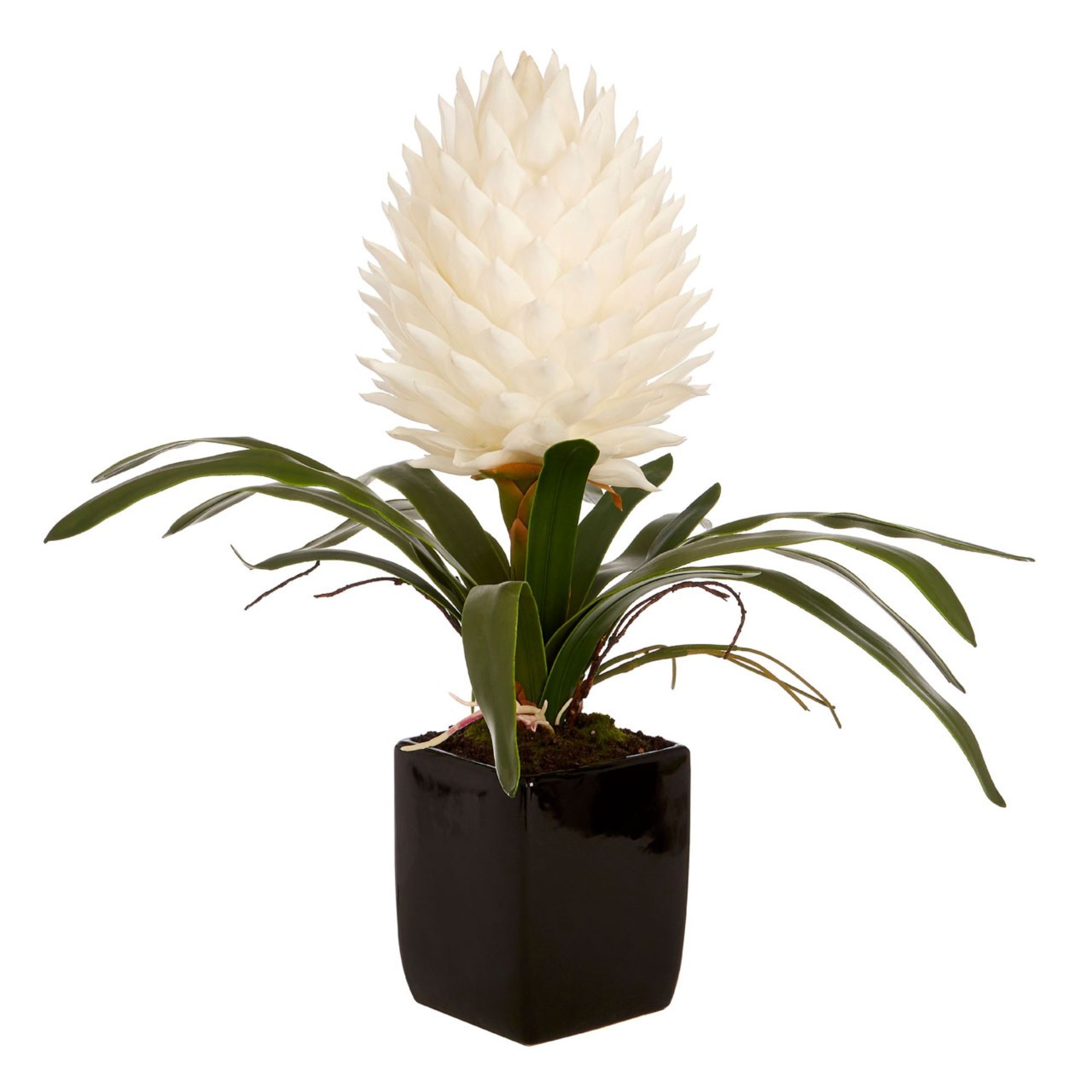 Faux White Tropical Plant - BBFPP18