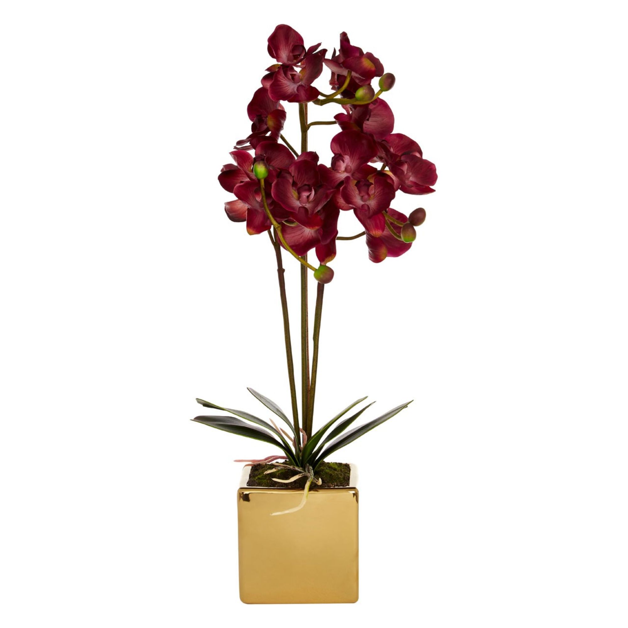 Faux Aubergine Orchid Plant - BBFPP19