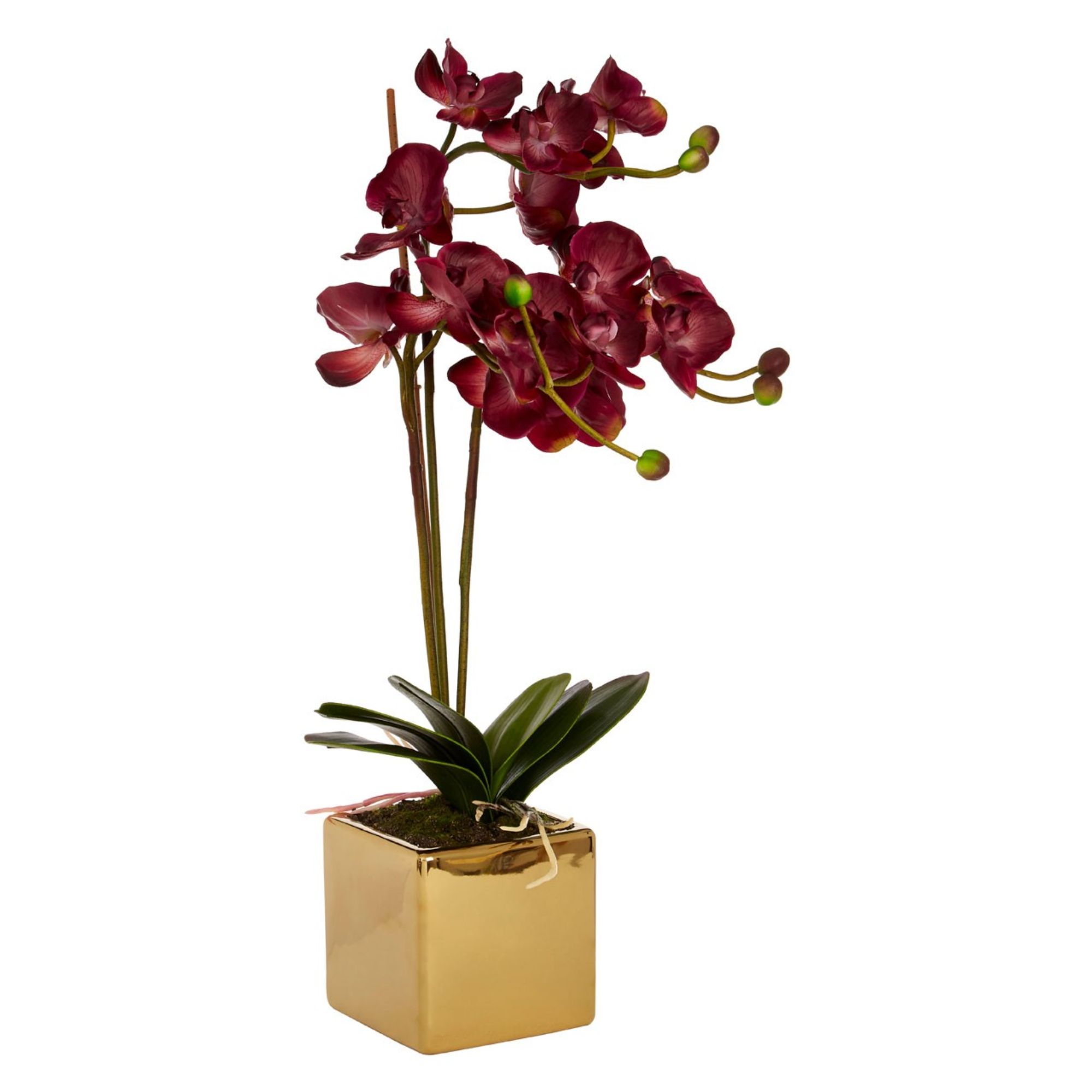 Faux Aubergine Orchid Plant - BBFPP19