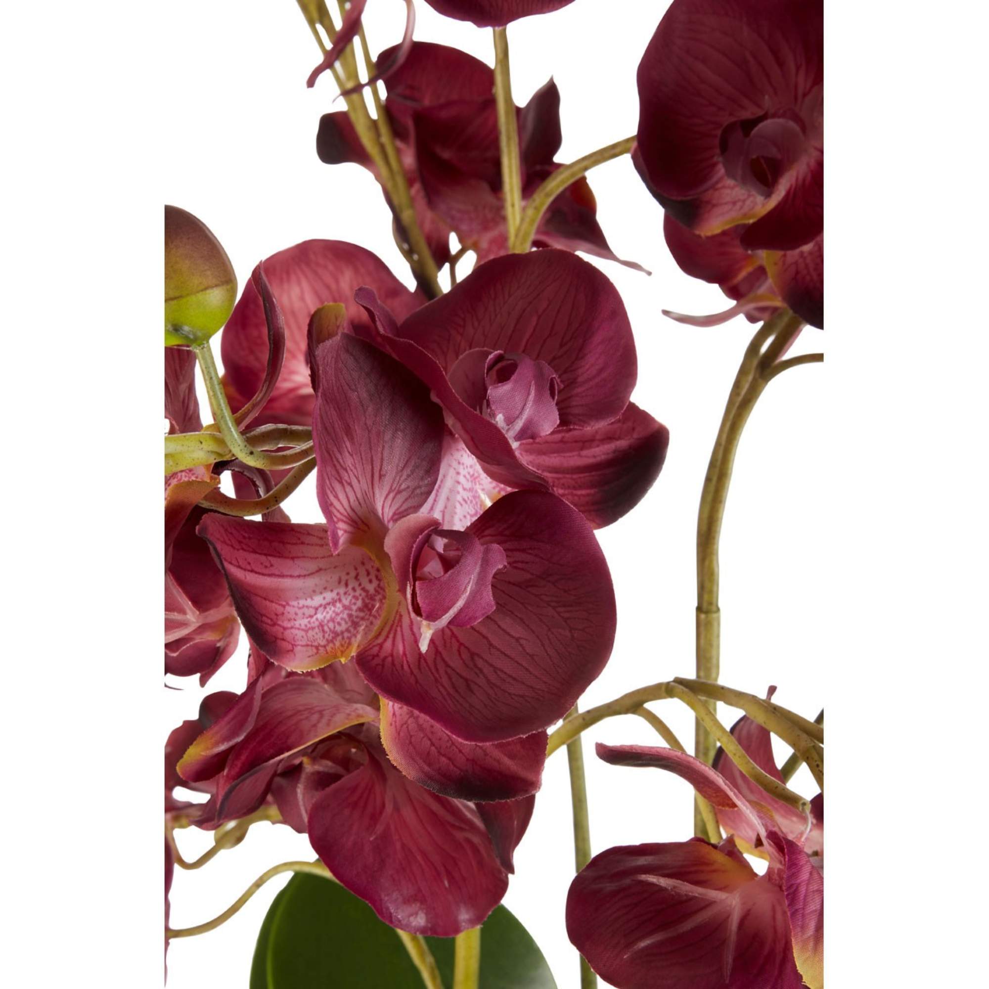Faux Purple Orchid Plant - BBFPP20