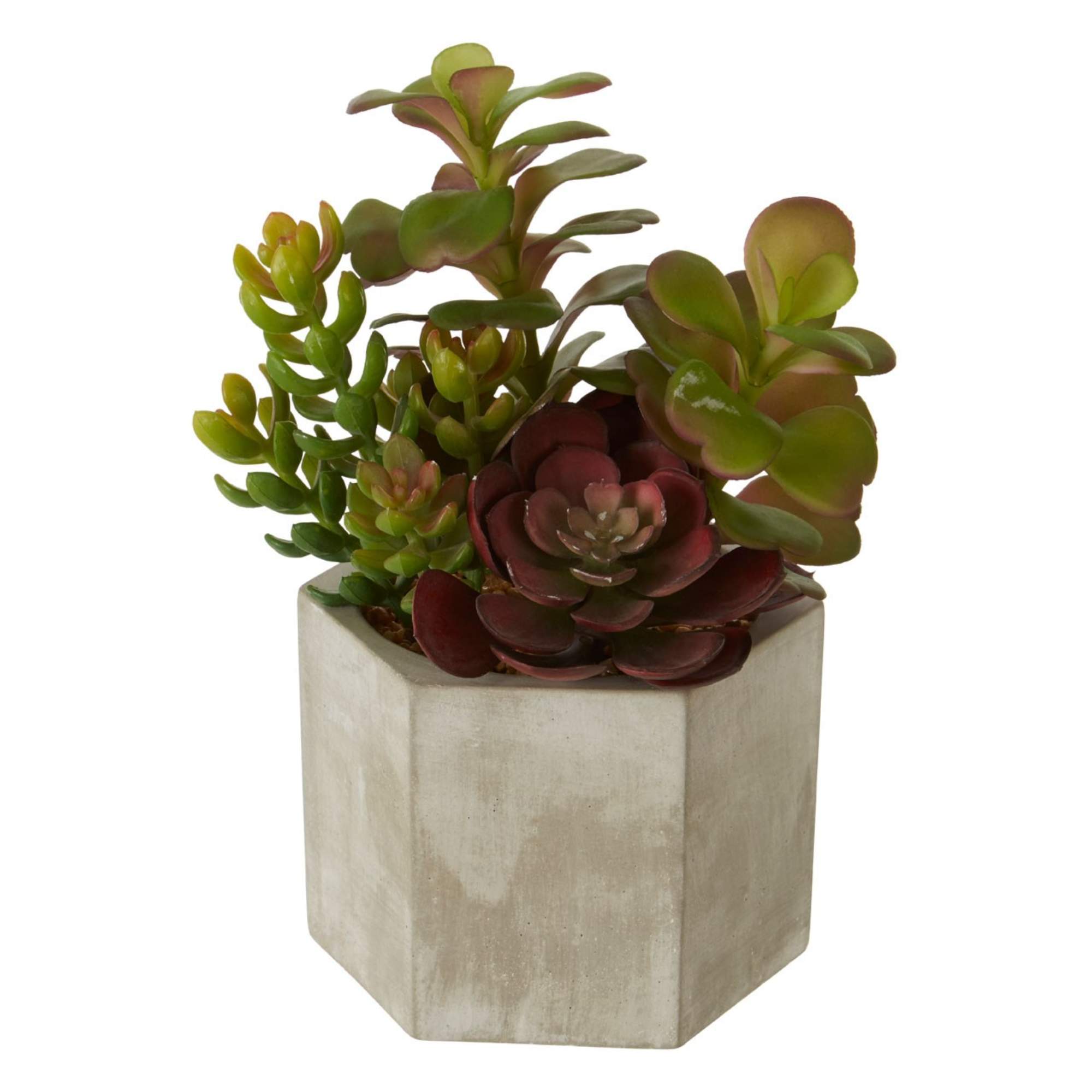 Faux Succulent Plant - BBFPP22