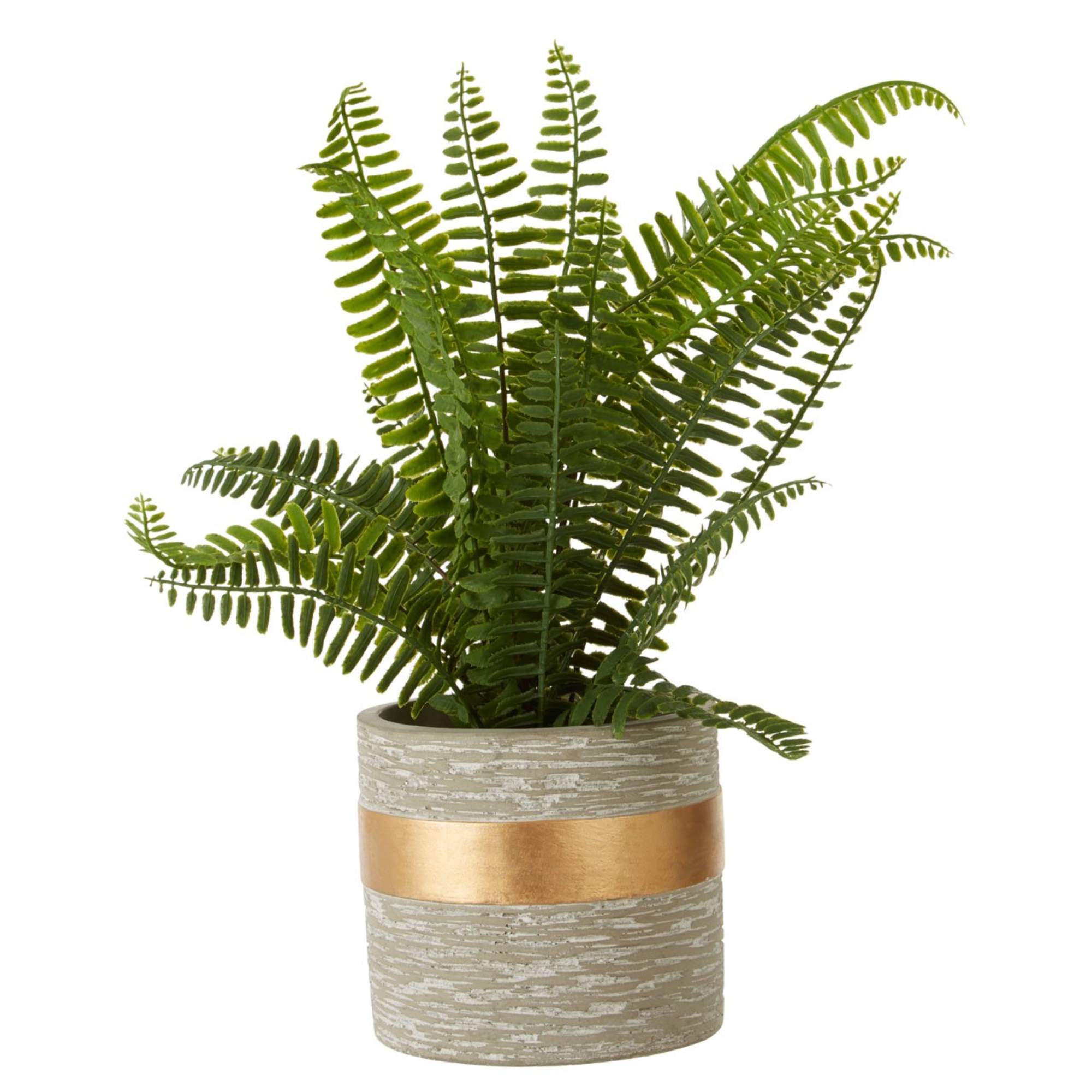 Faux Fern Succulent Plant - BBFPP24