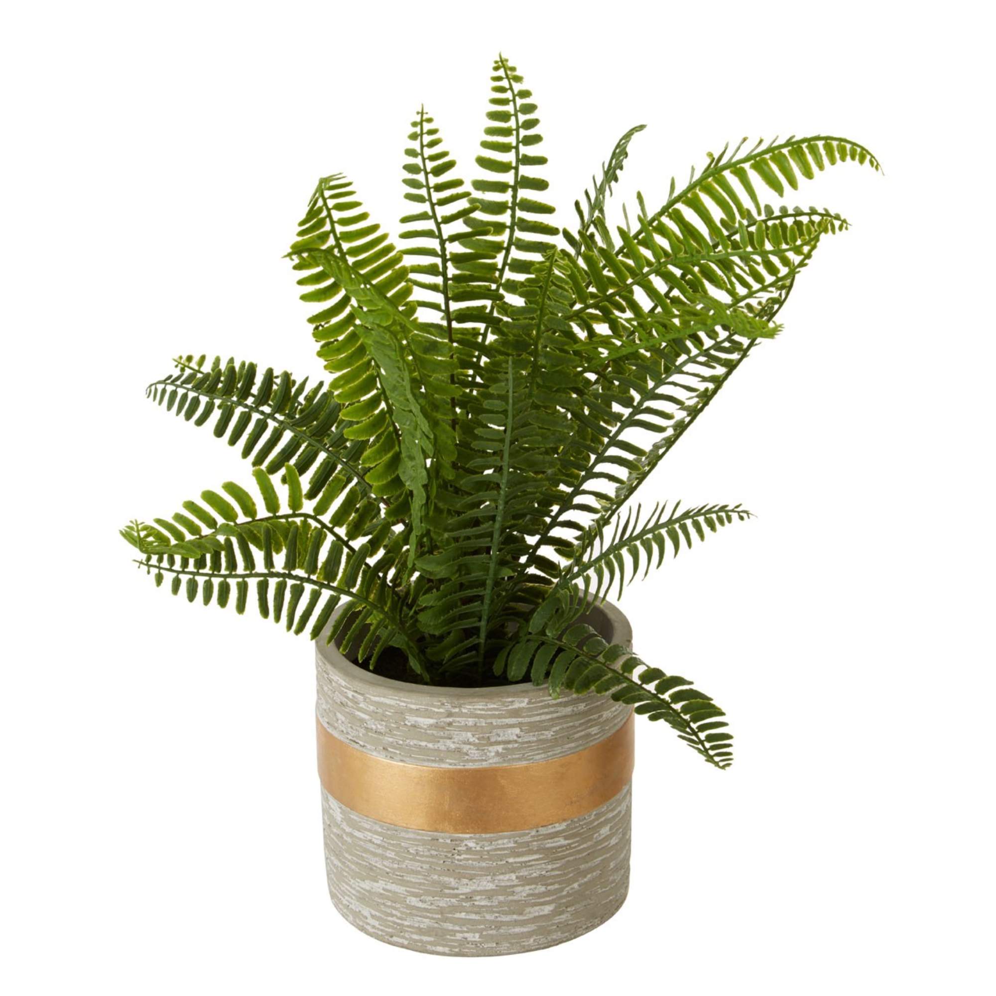 Faux Fern Succulent Plant - BBFPP24