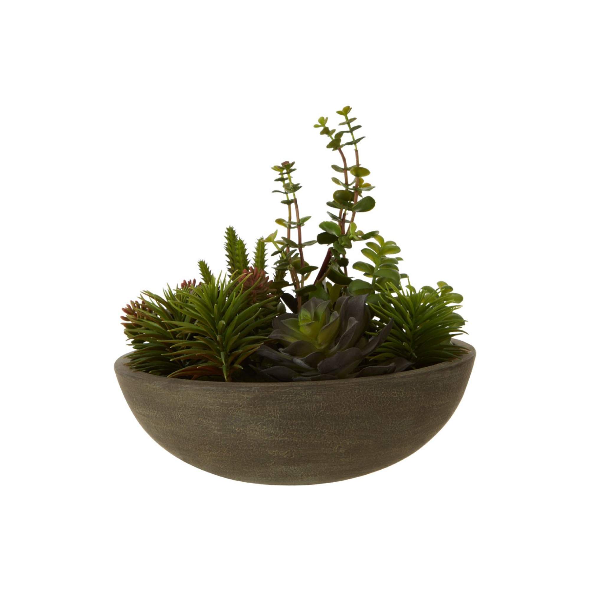 Faux Succulent Plant - BBFPP25