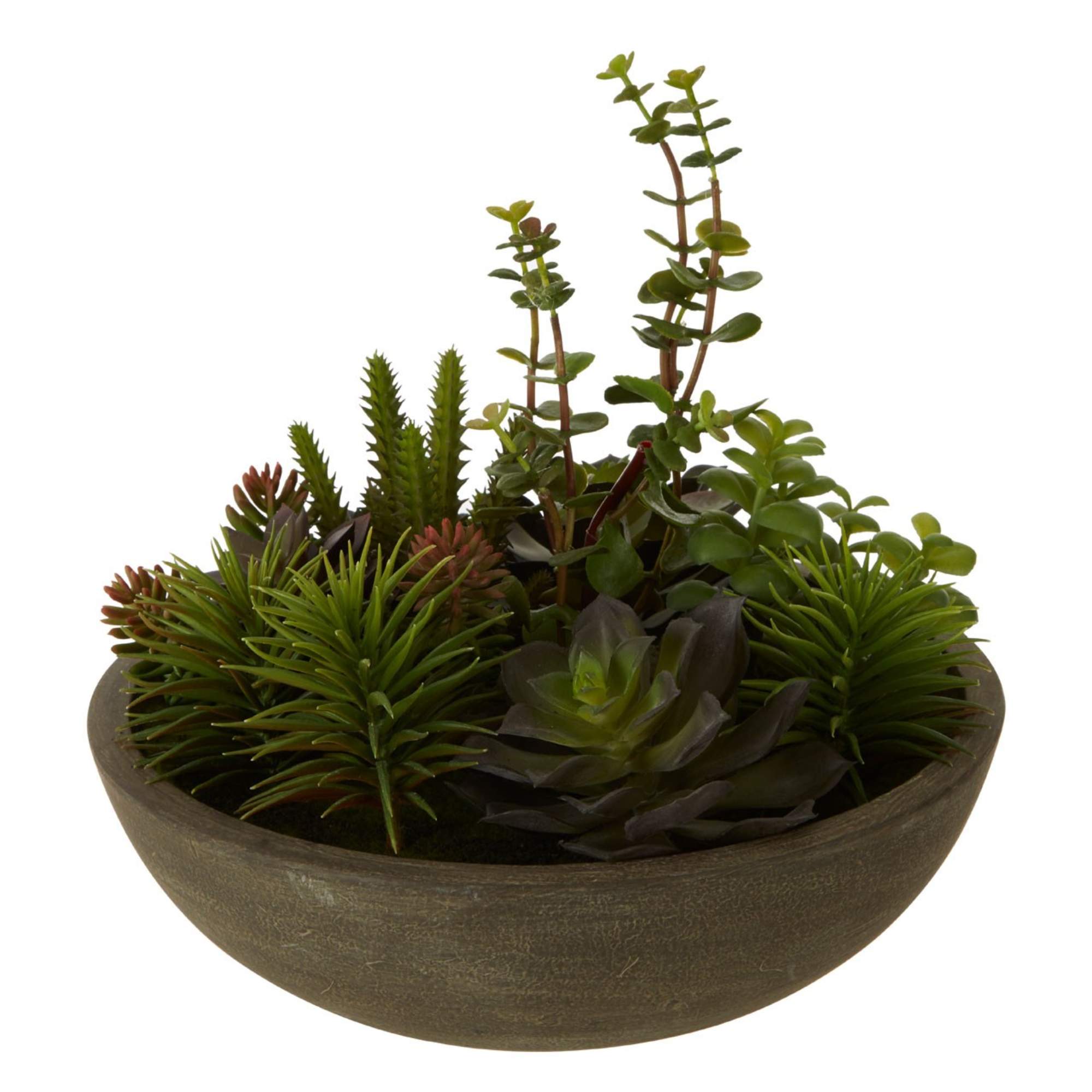 Faux Succulent Plant - BBFPP25