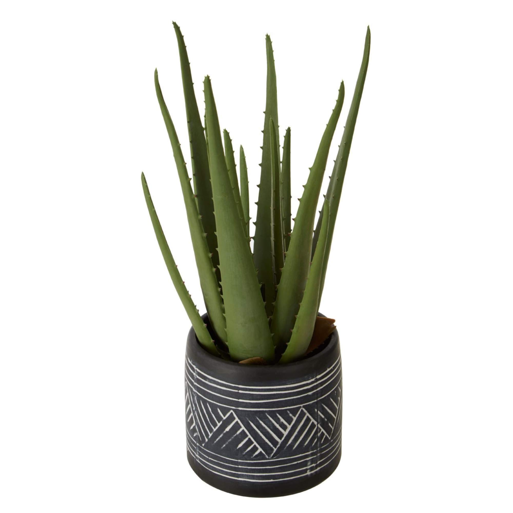Faux Aloe Vera Succulent Plant - BBFPP27