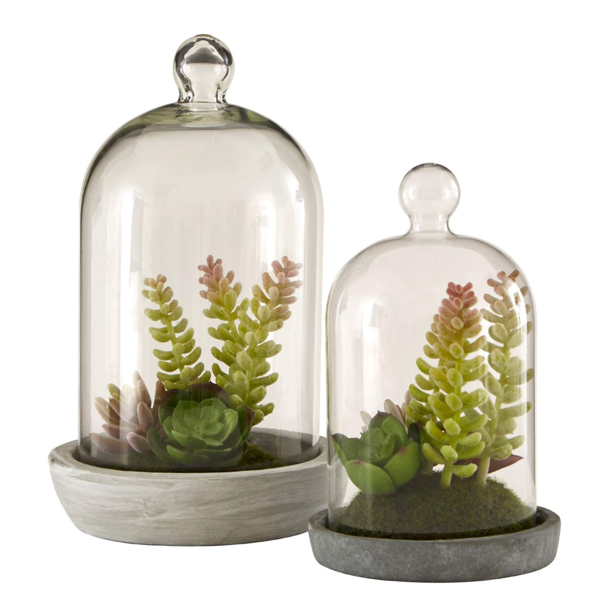 Faux Succulent Plant - BBFPP30