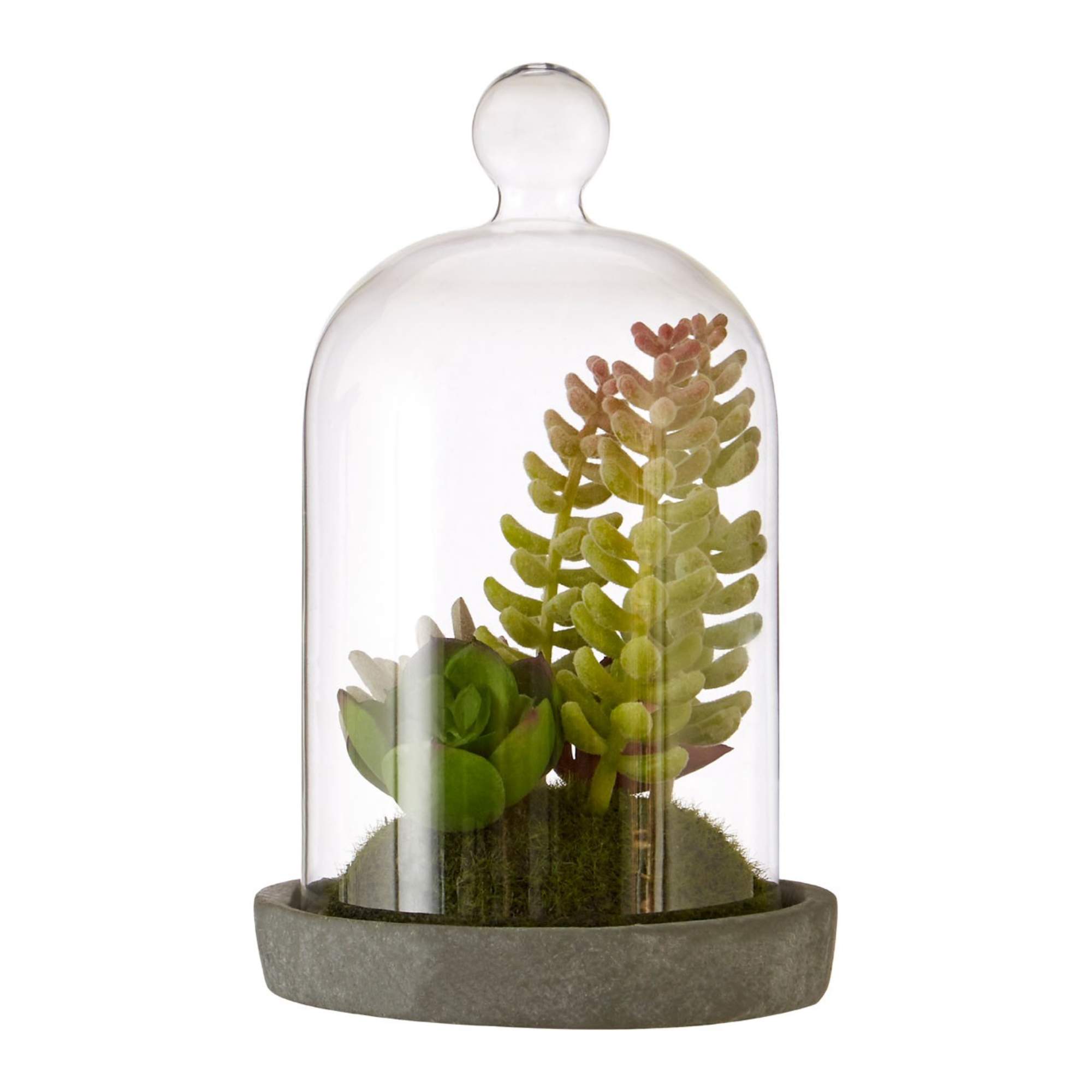 Faux Succulent Plant - BBFPP30