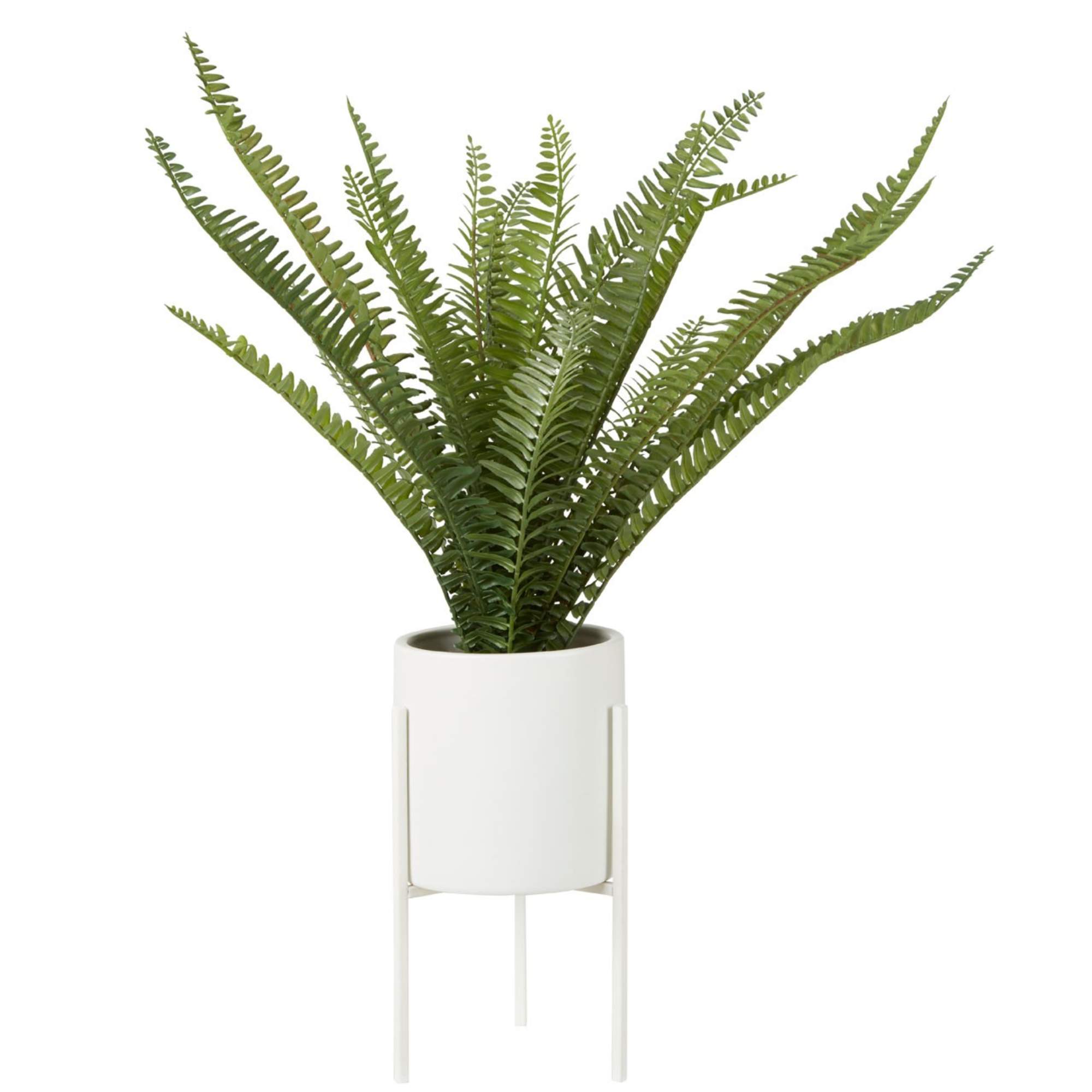 Faux Fern Succulent Plant - BBFPP31
