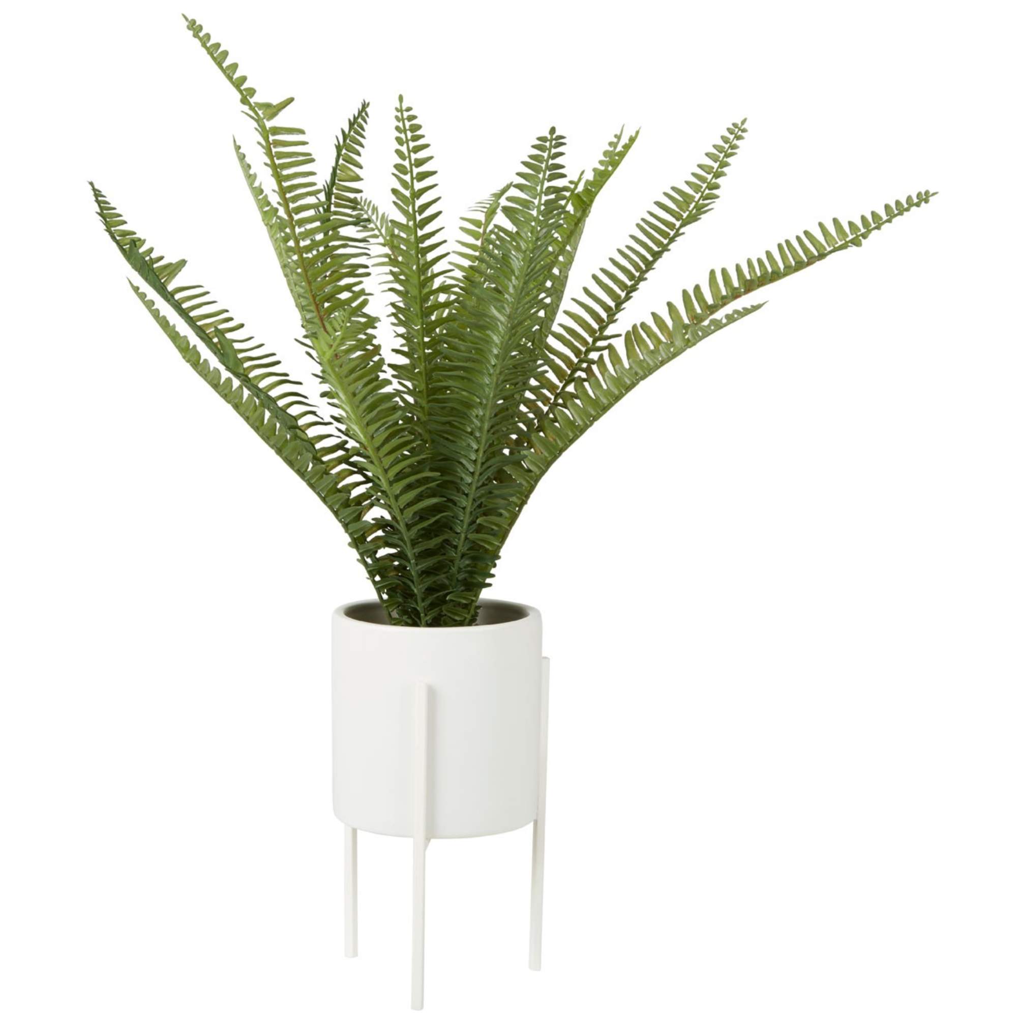 Faux Fern Succulent Plant - BBFPP31