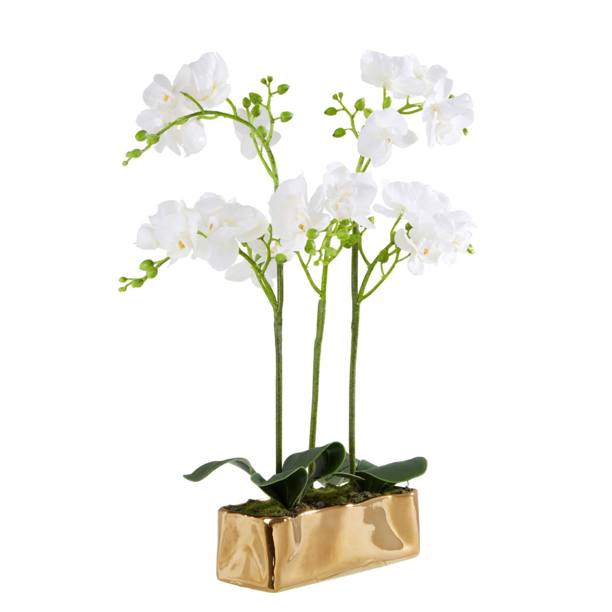 Faux White Orchid Plant - BBFPP33