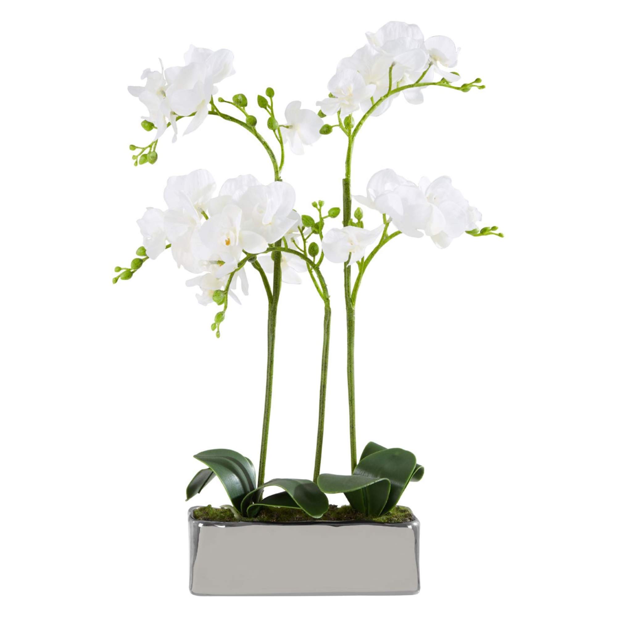 Faux White Orchid Plant - BBFPP34