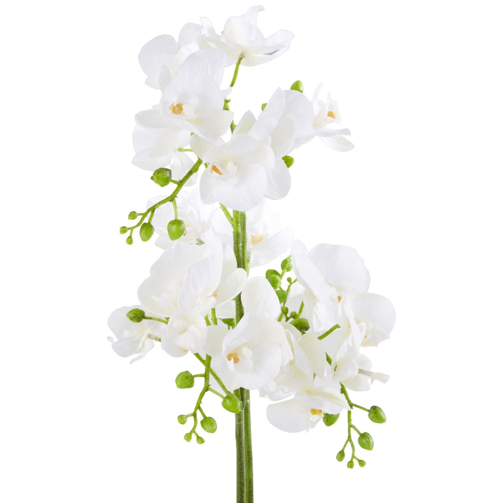 Faux White Orchid Plant - BBFPP34