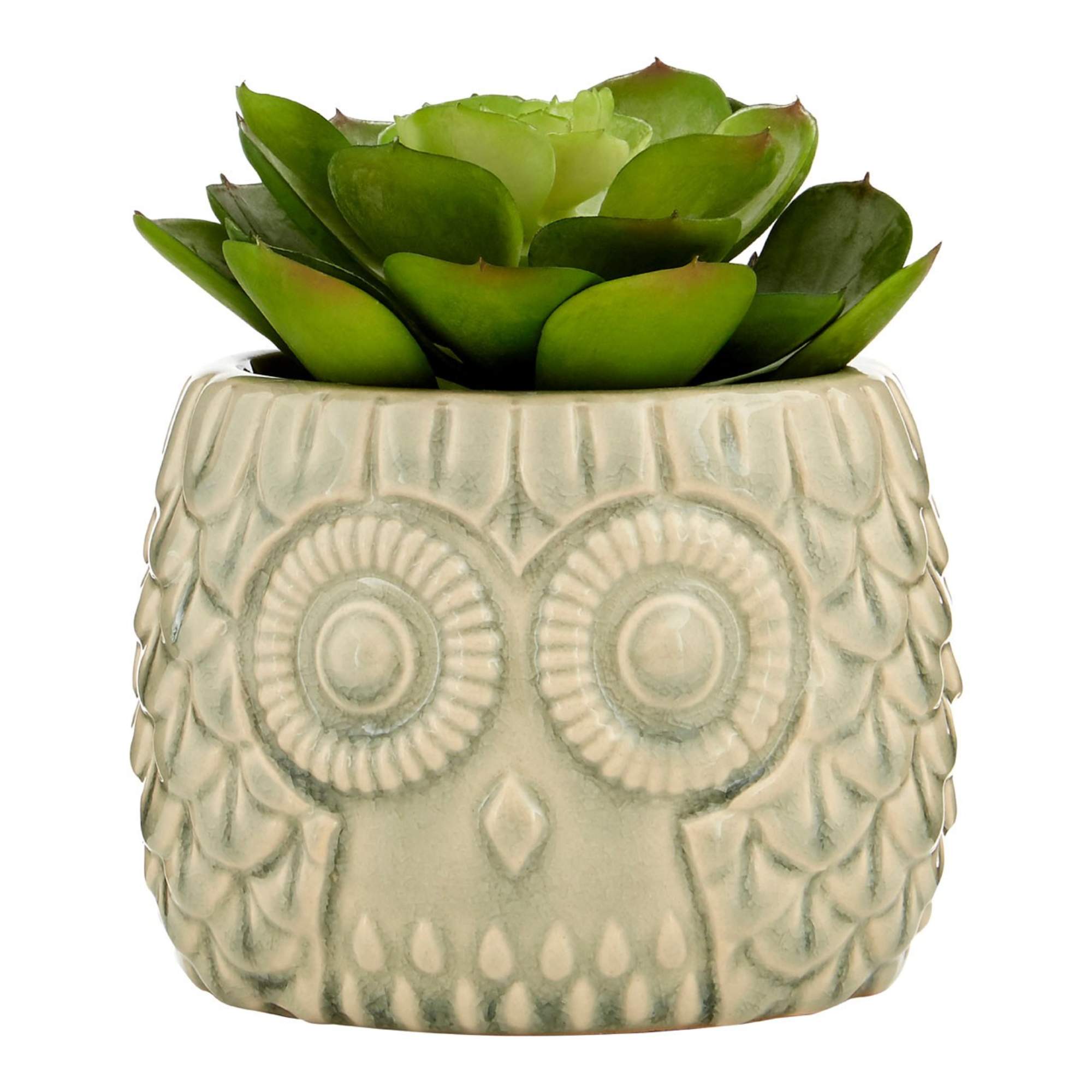 Faux Succulent Plant - BBFPP37
