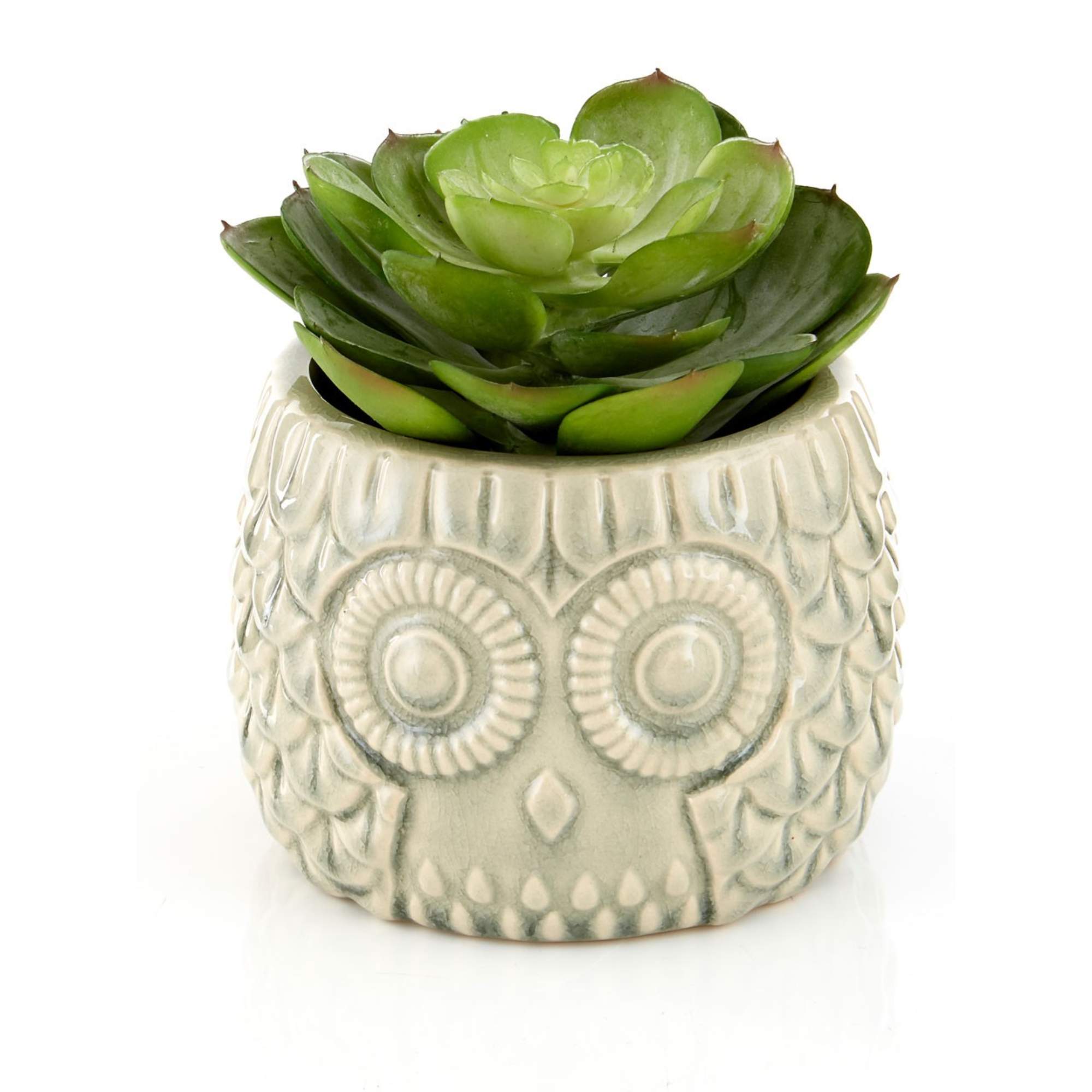Faux Succulent Plant - BBFPP37