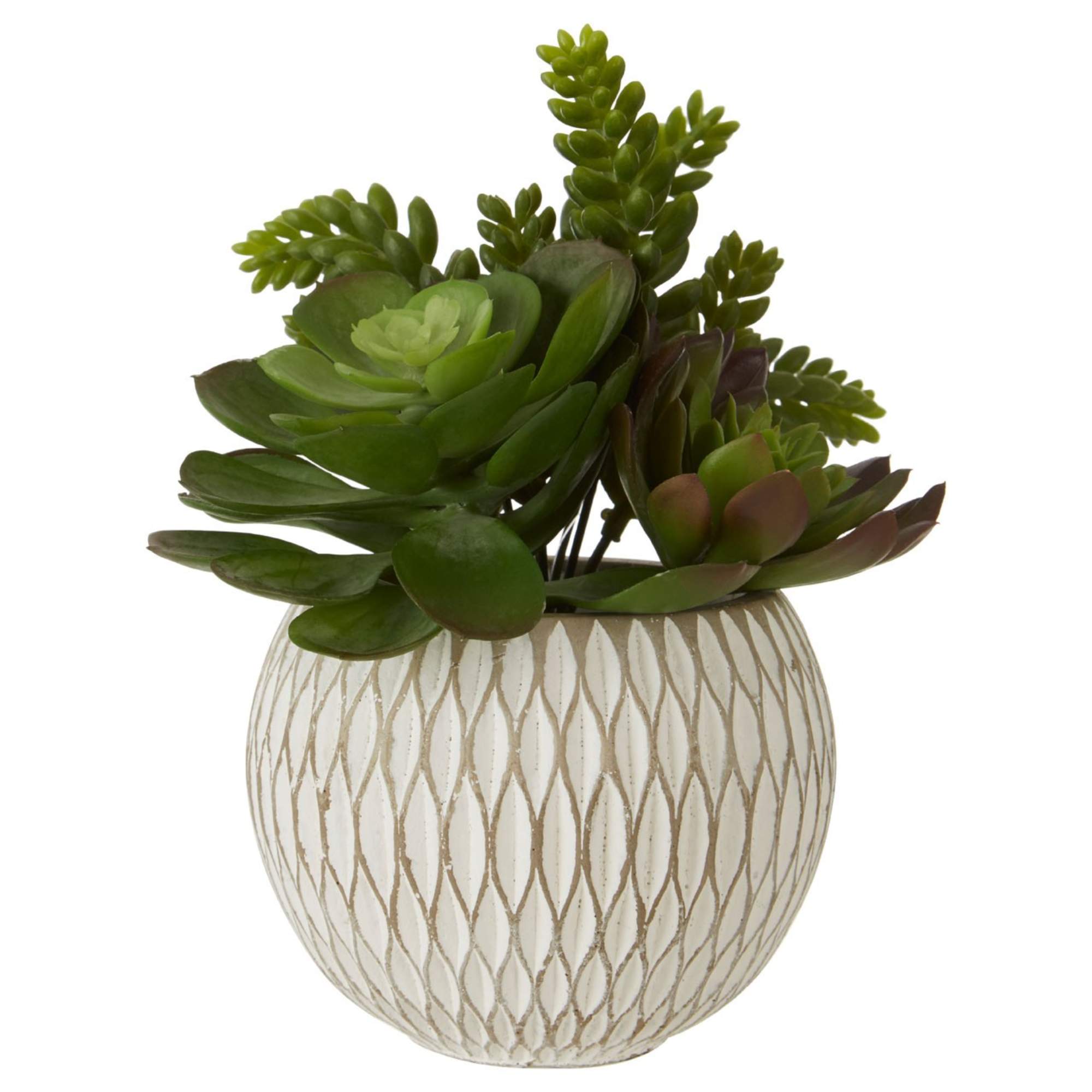 Faux Succulent Plant - BBFPP38