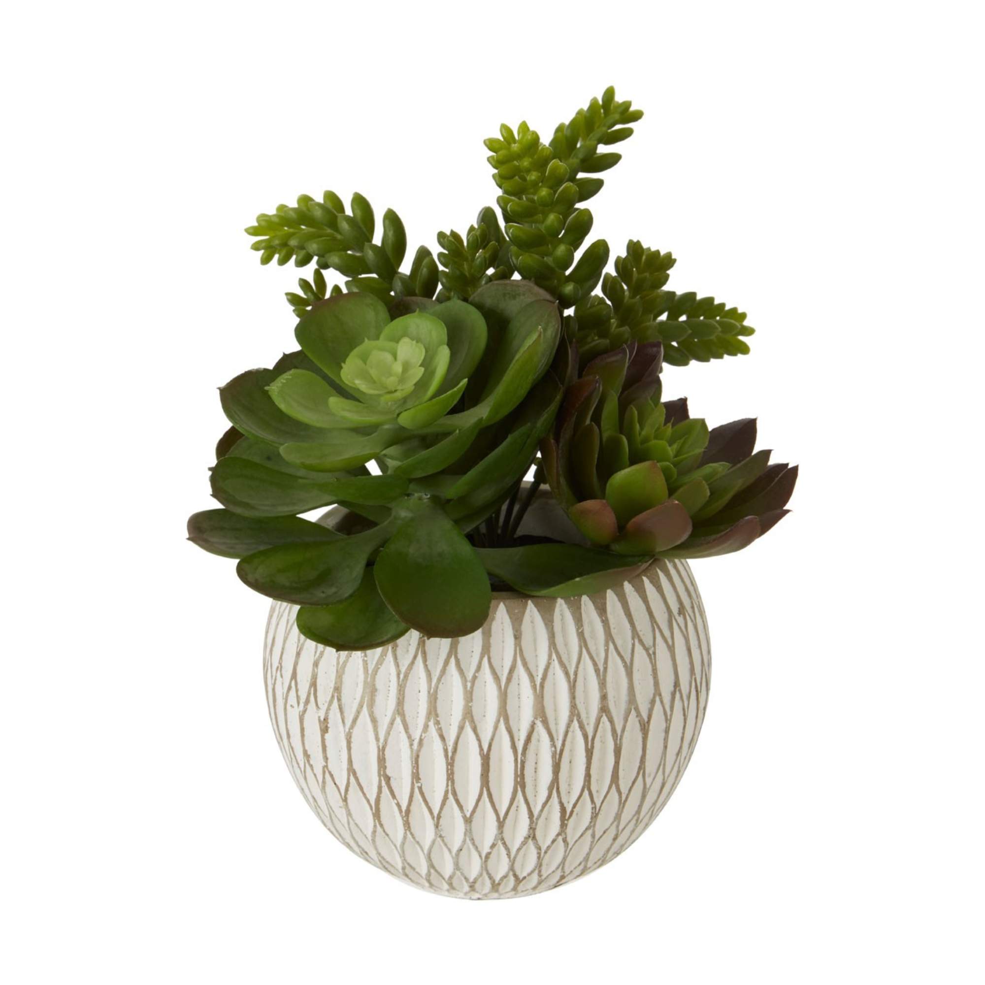 Faux Succulent Plant - BBFPP38