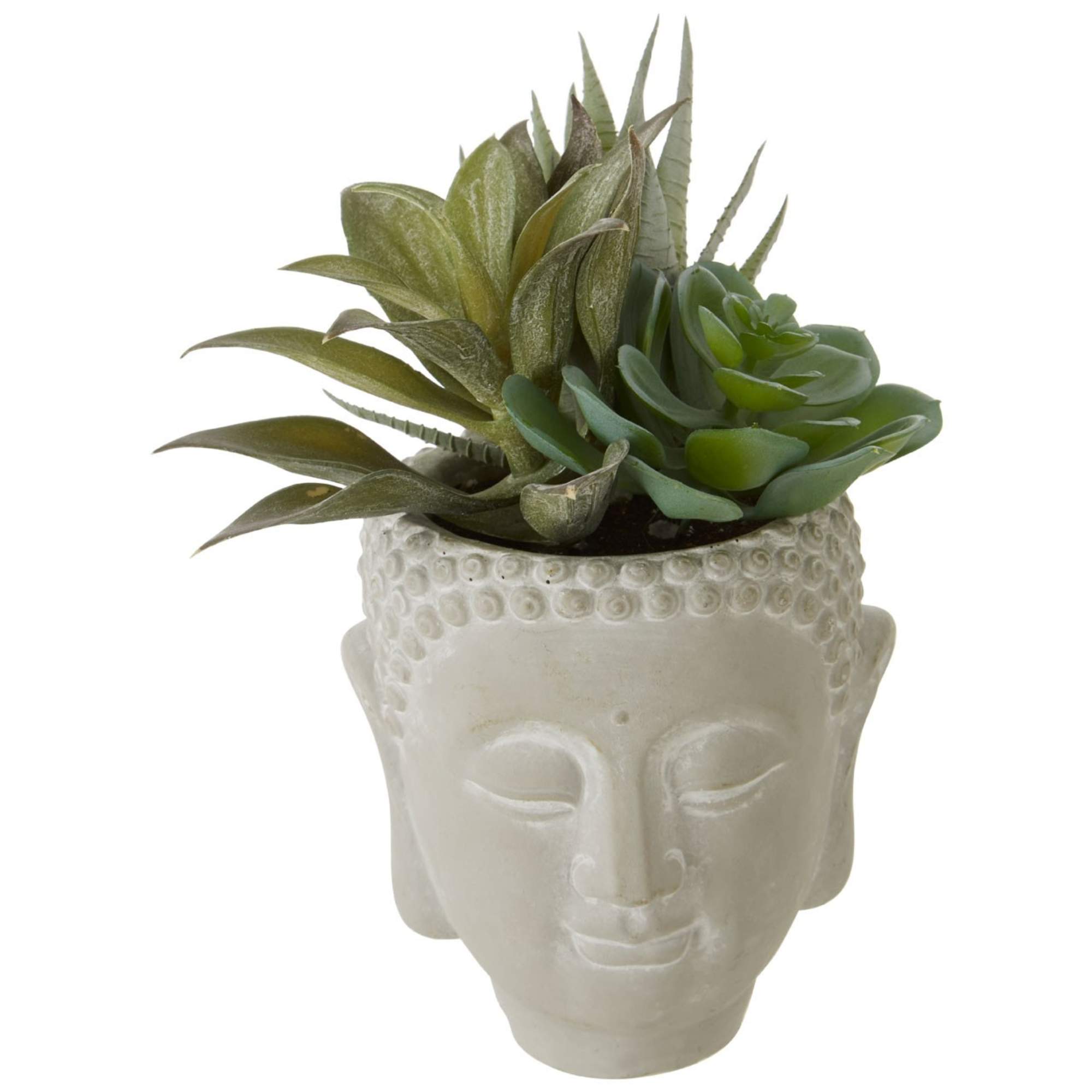 Faux Succulent Plant - BBFPP39