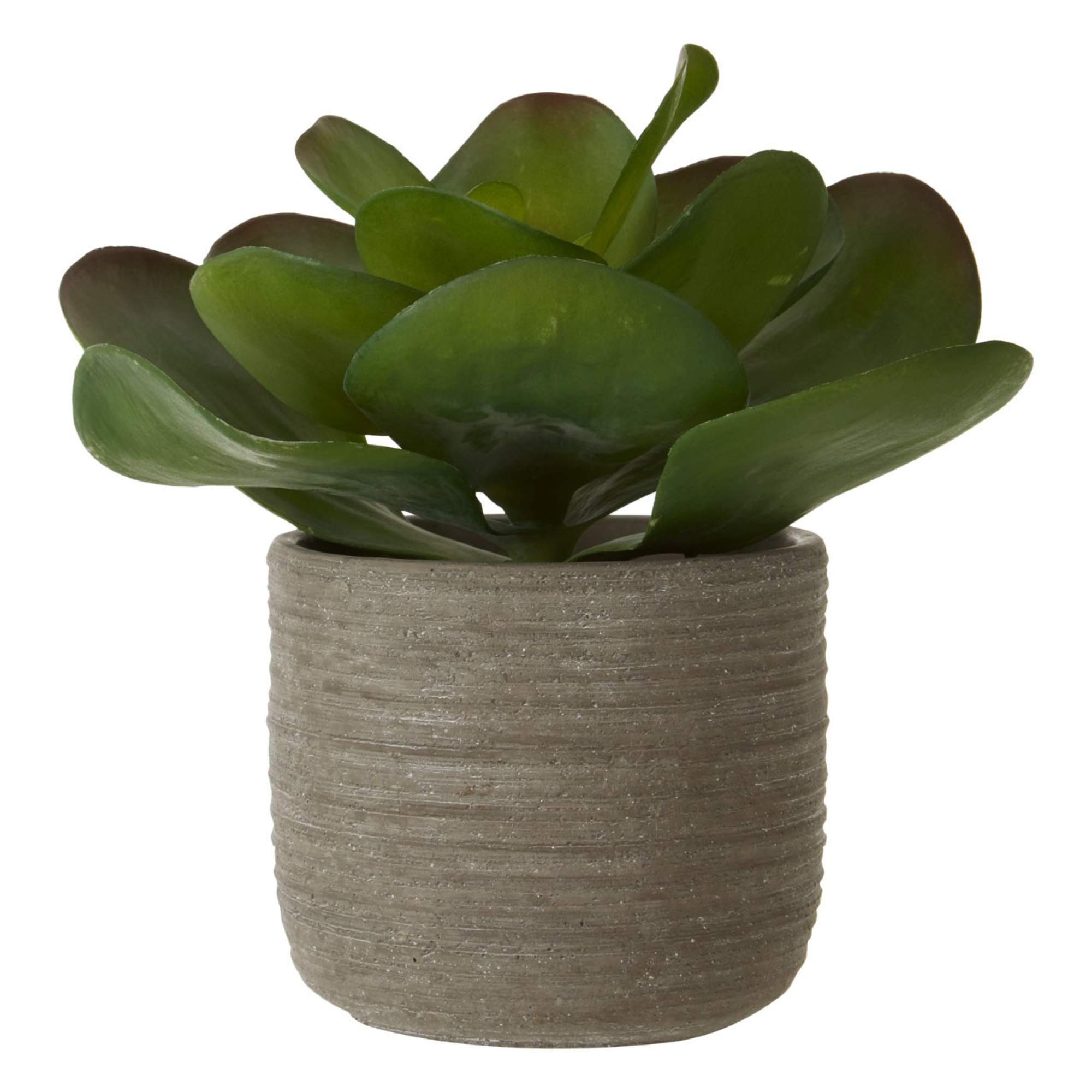 Faux Lotus Succulent Plant - BBFPP40