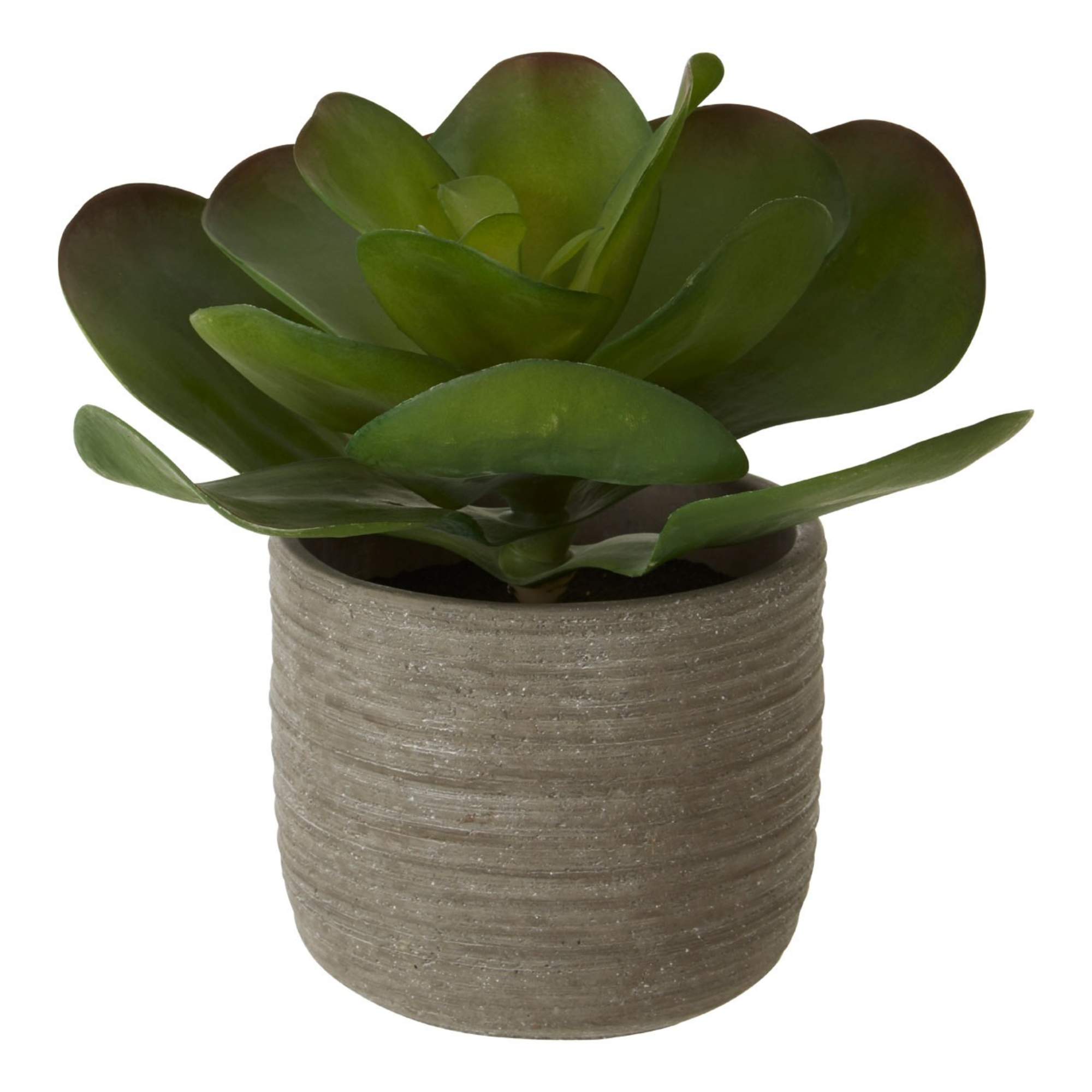 Faux Lotus Succulent Plant - BBFPP40