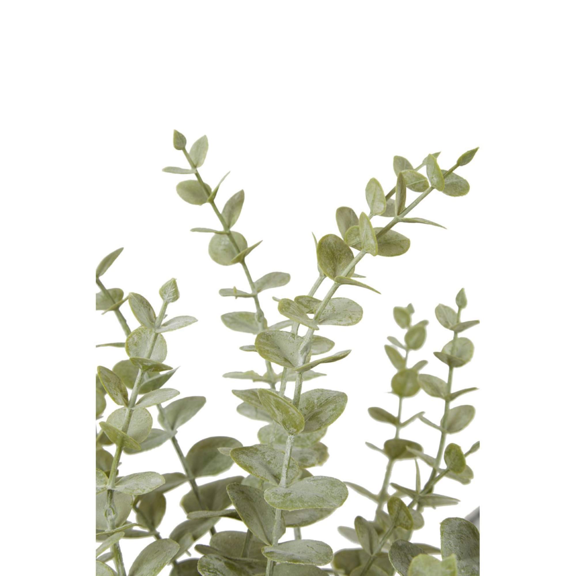 Faux Eucalyptus Plant - BBFPP41