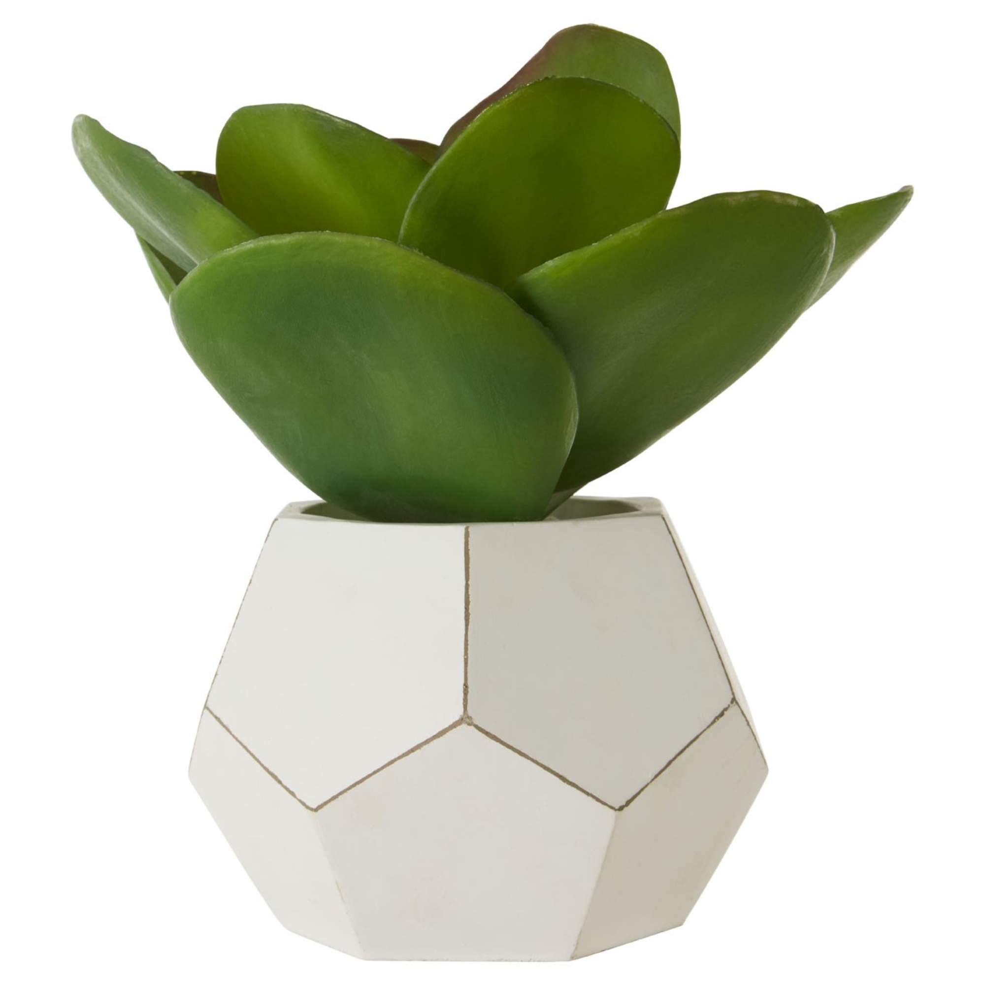 Faux Succulent Plant - BBFPP42