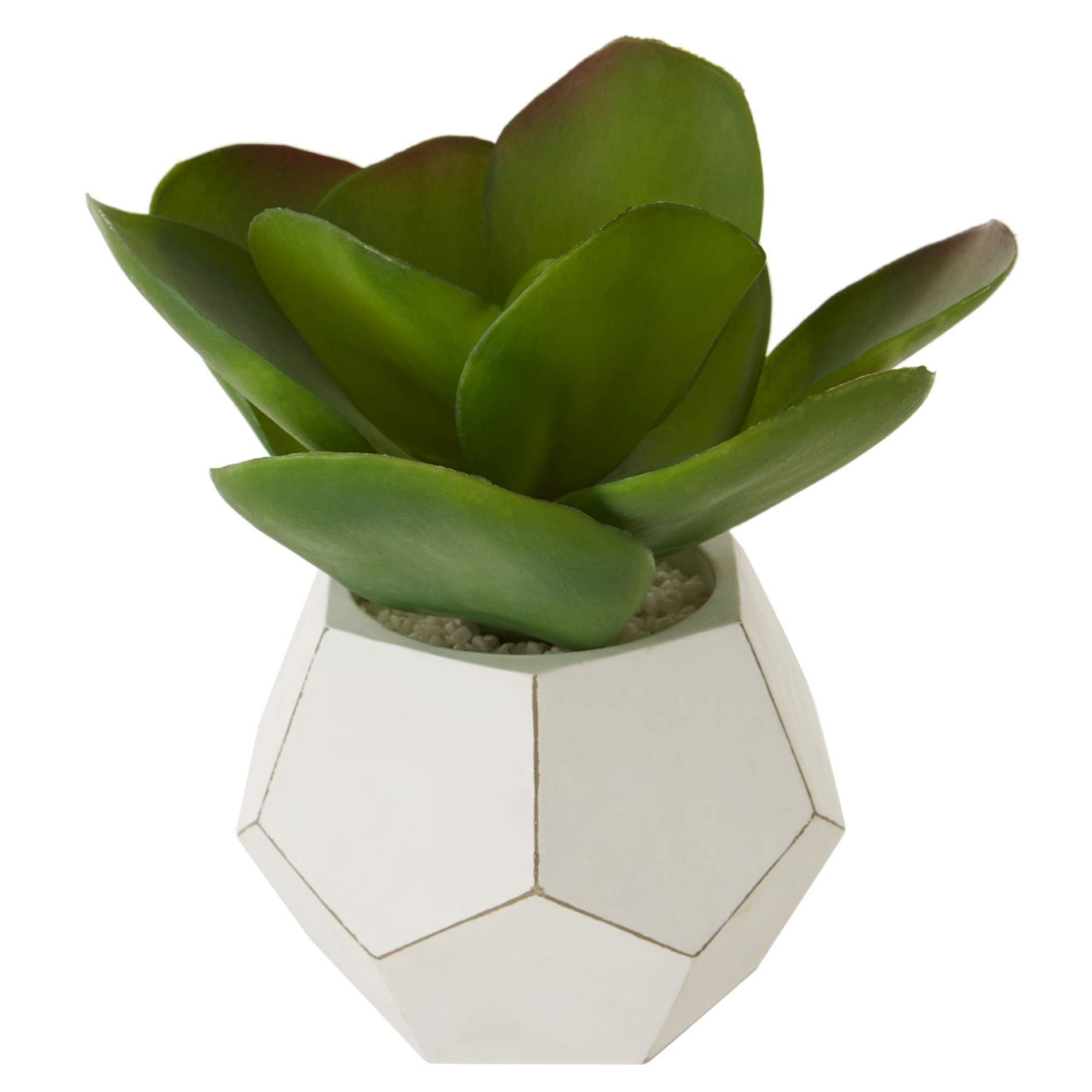 Faux Succulent Plant - BBFPP42