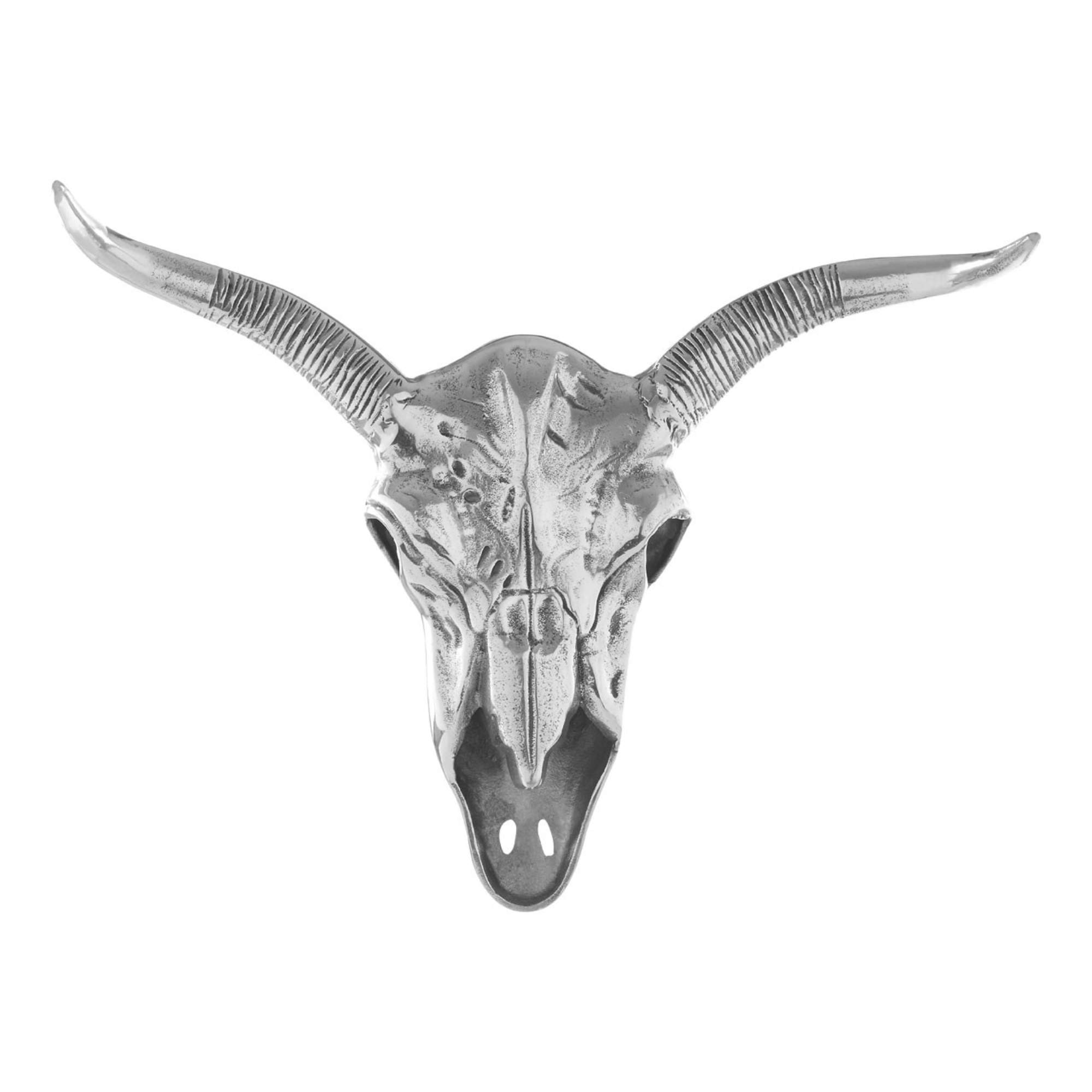 Wall Mounted Skull Showpiece - BBODA14