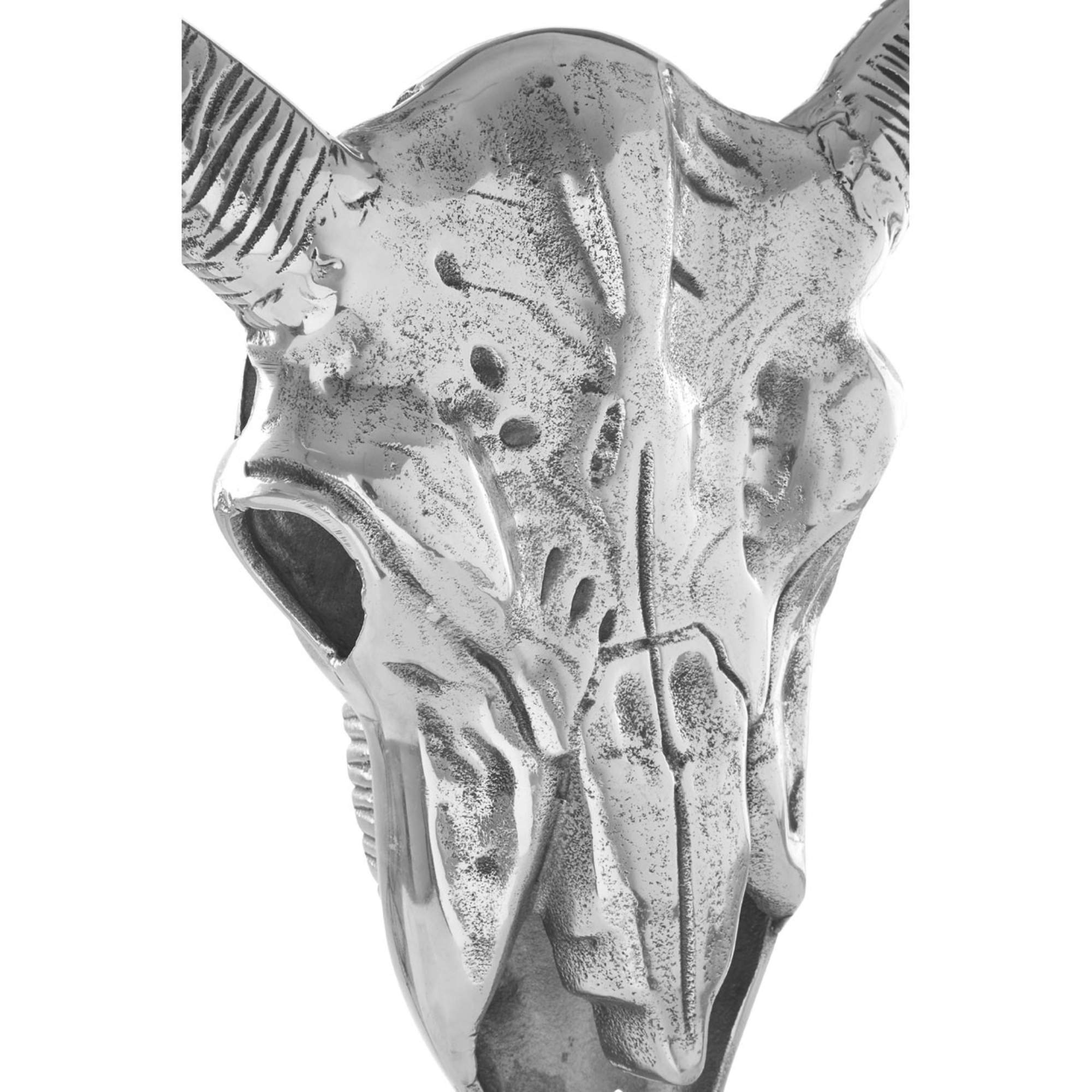 Wall Mounted Skull Showpiece - BBODA14