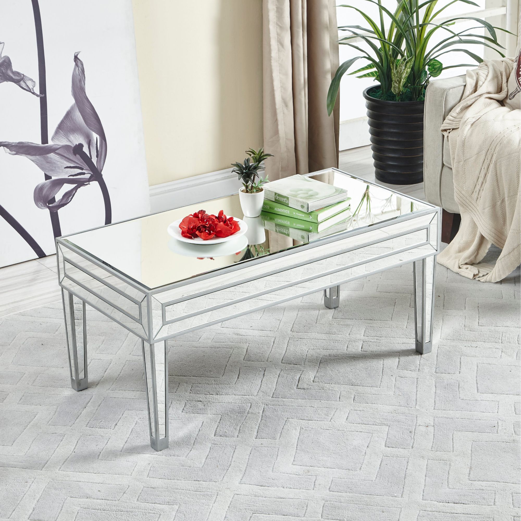 CASS Mirrored Furniture Collection