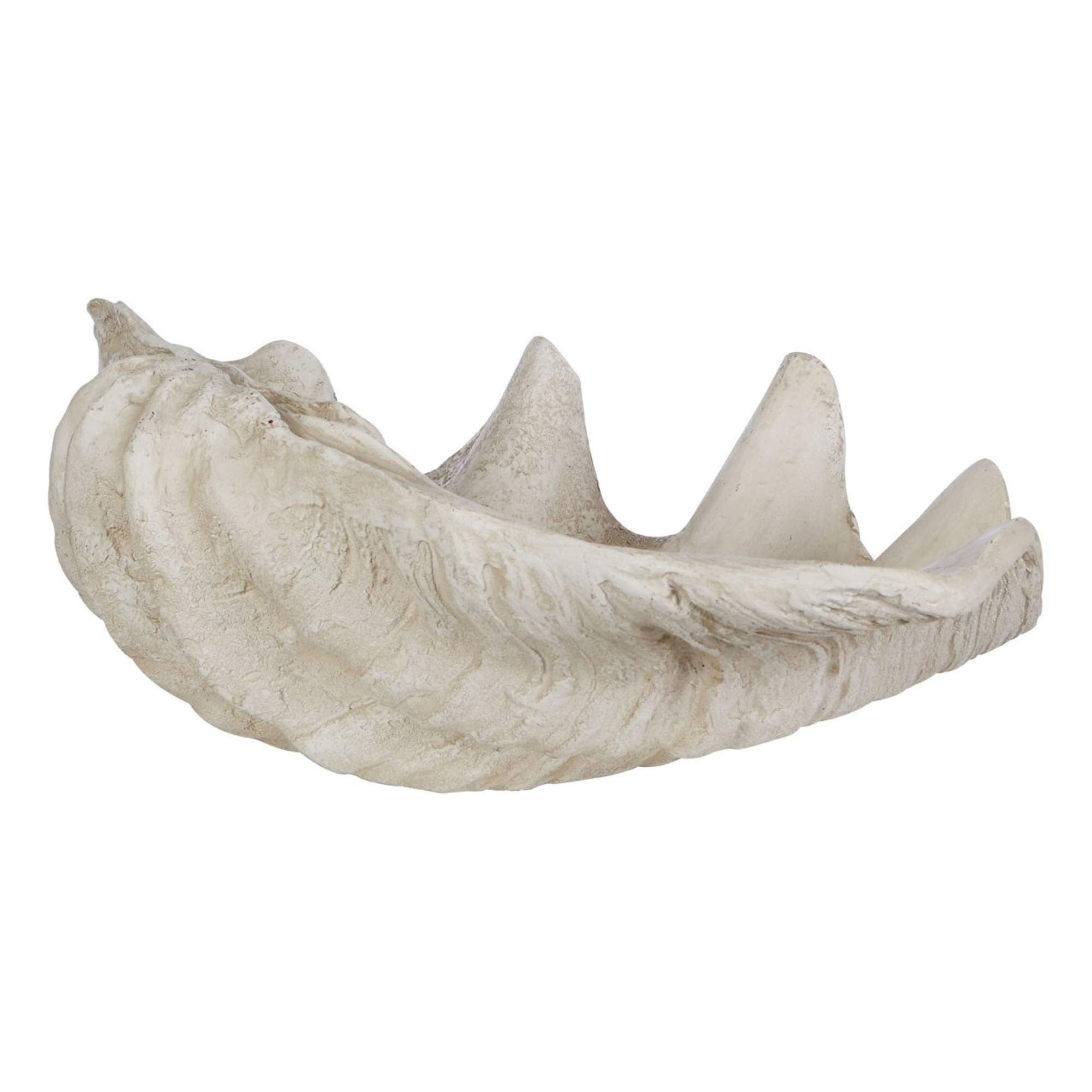 Decorative Clam Shell Showpiece - BBODA34