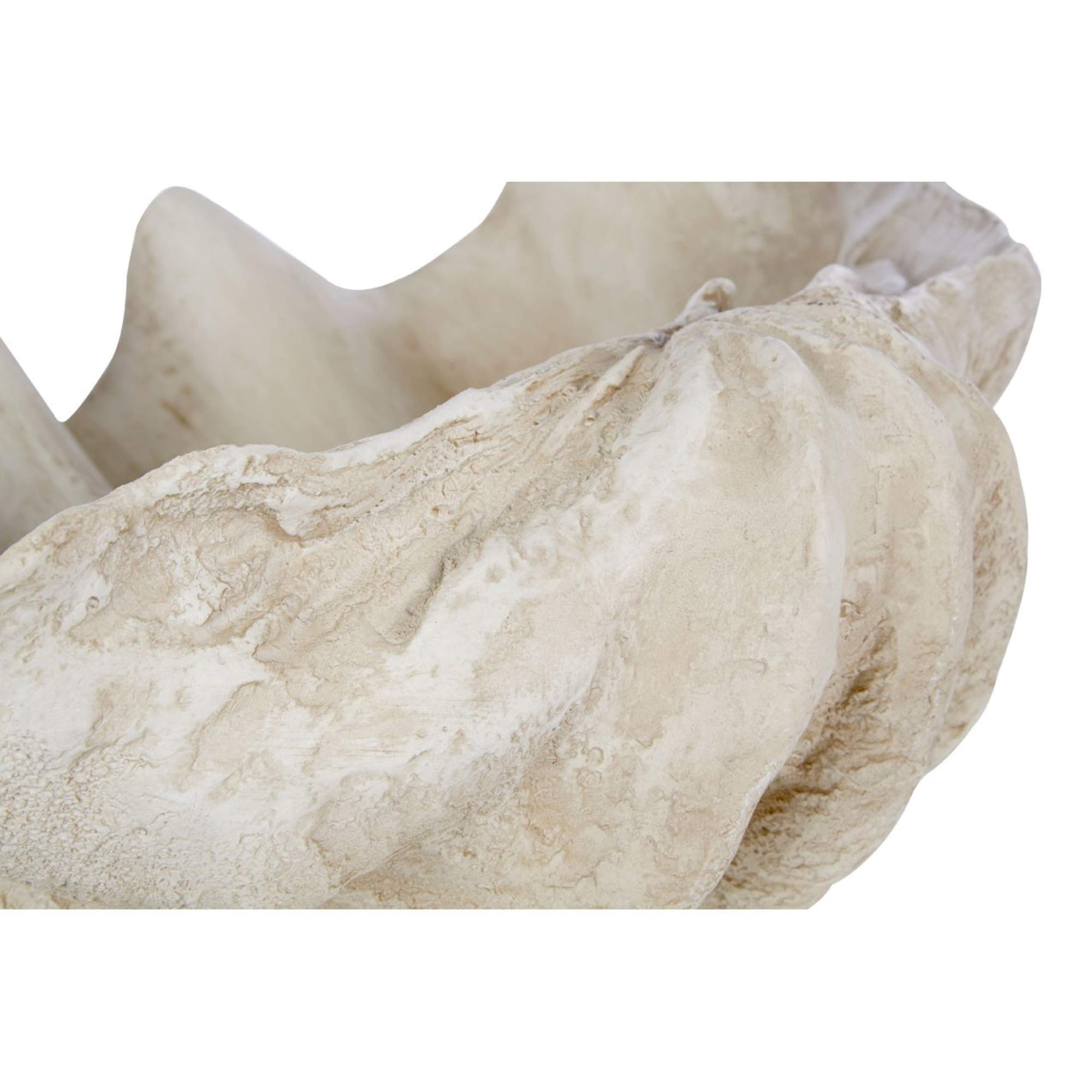 Decorative Clam Shell Showpiece - BBODA34