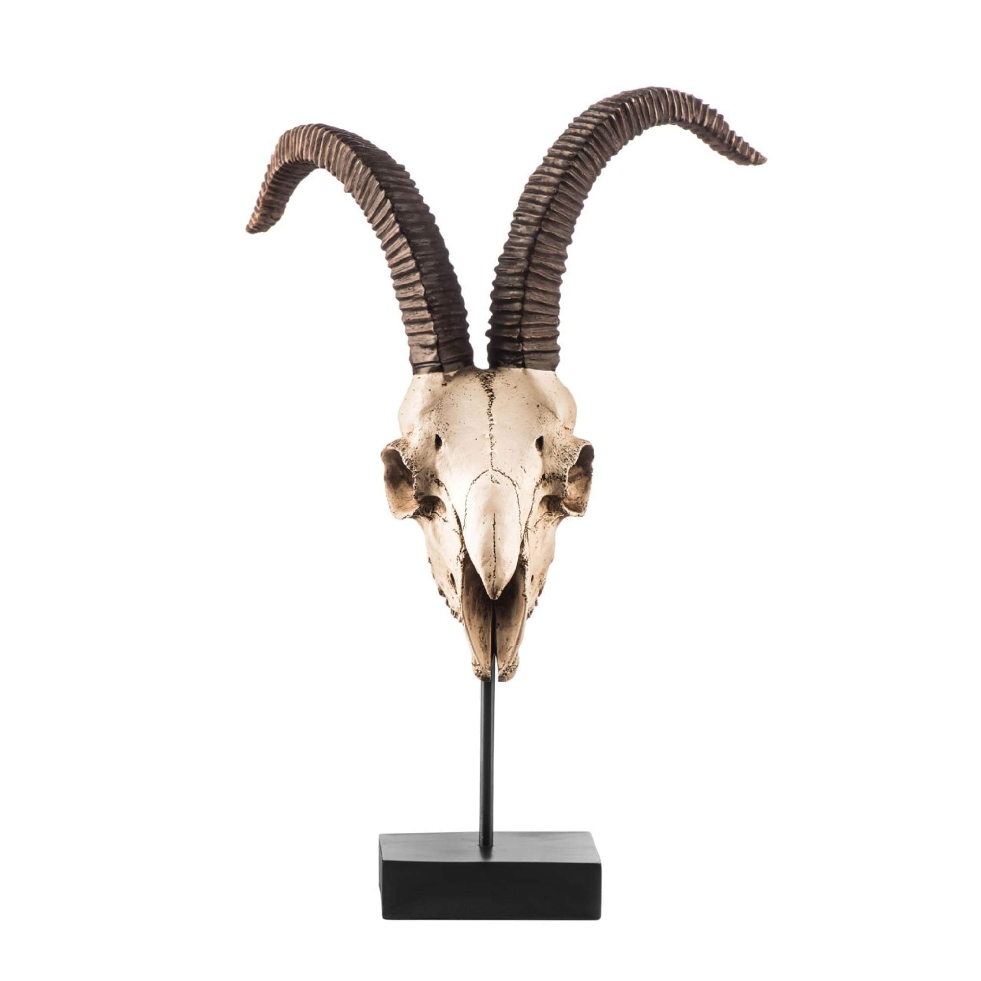 Decorative Goat Skull Showpiece - BBODA59