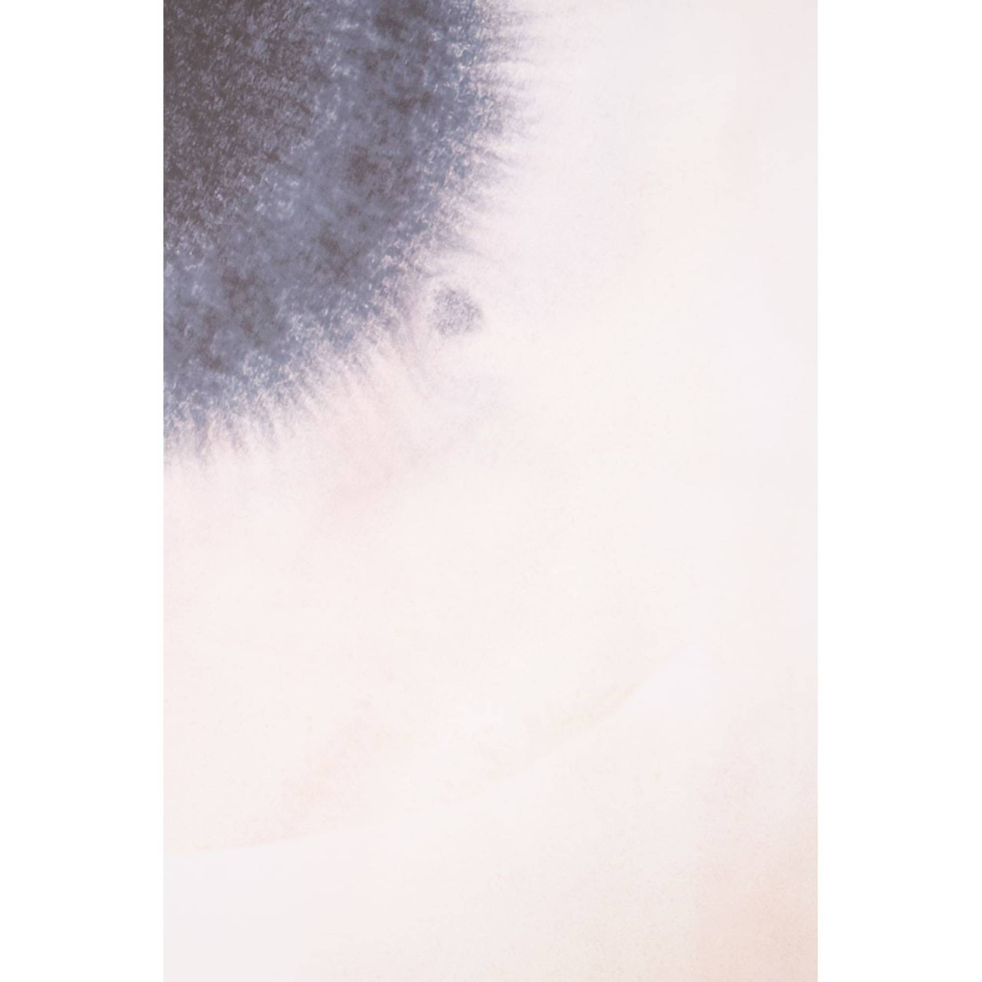 Modern Art - BBMODA03