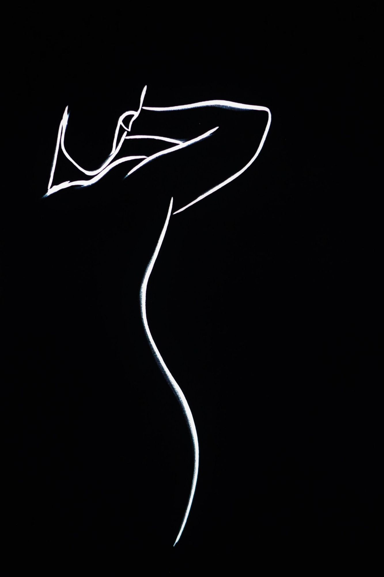 SIGNORA Handcrafted Velvet Wall Art