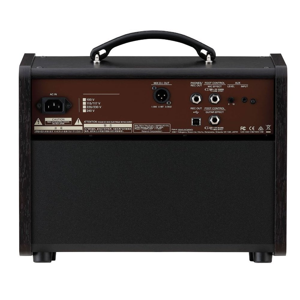 Boss ACS-LIVE LT 60W Acoustic Singer Live Guitar Amplifier