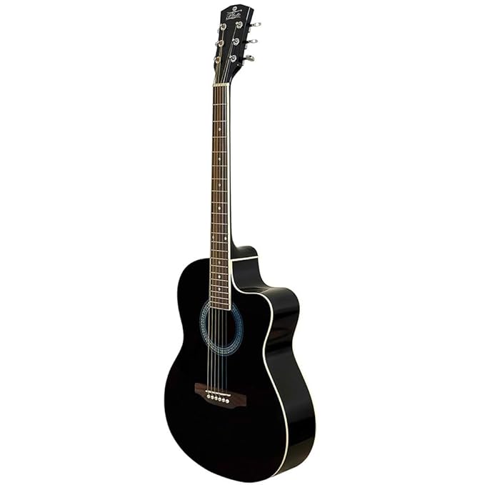 Pluto PA39C-201 Acoustic Guitar