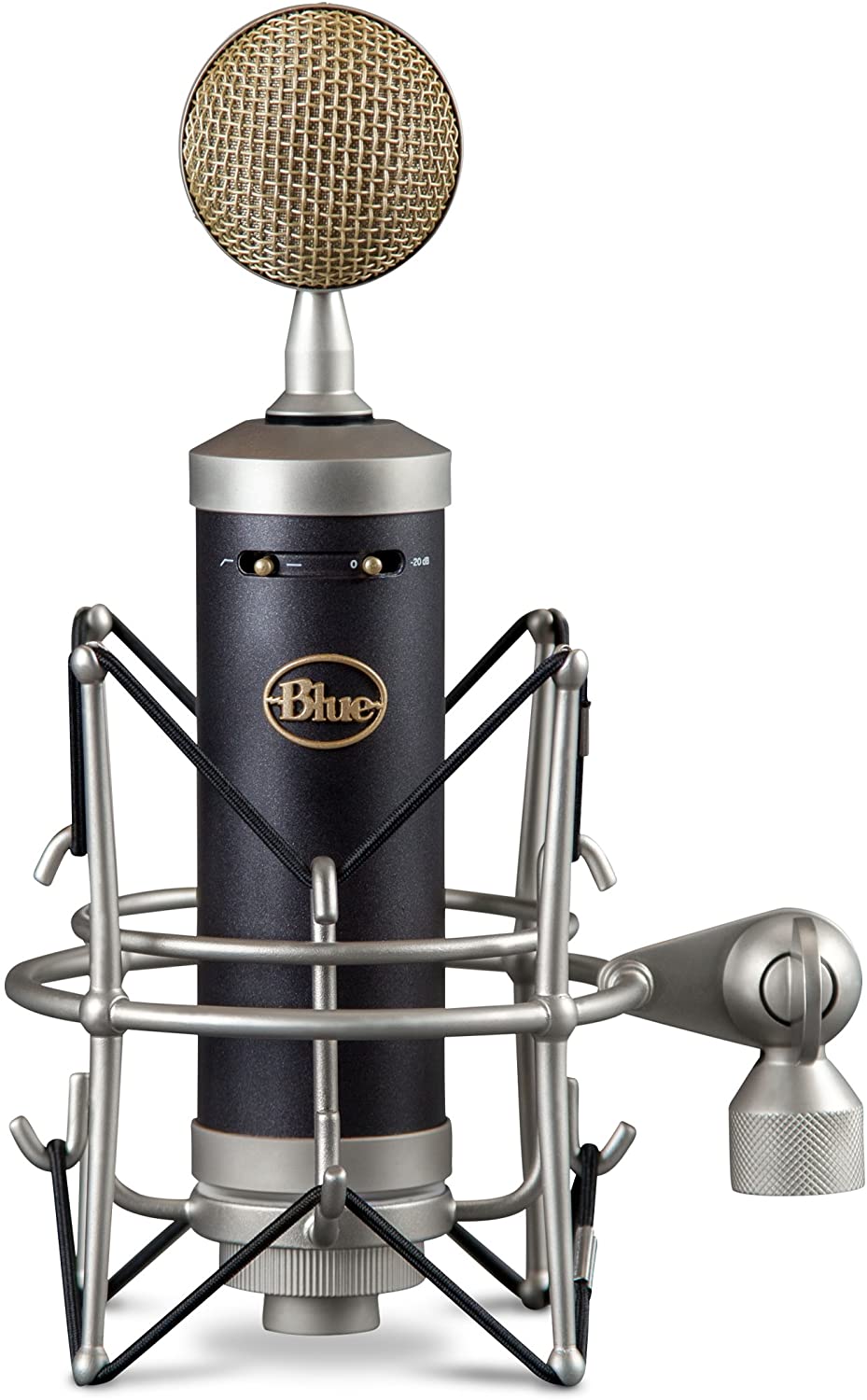 Blue Microphones Baby Bottle SL Large-diaphragm Condenser Microphone