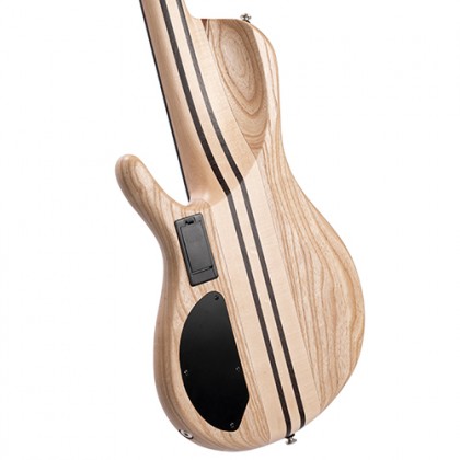 Cort A5 Beyond 5 String Bass Guitar with Case