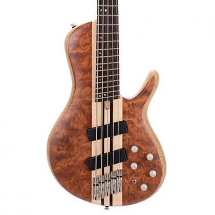 Cort A5 Beyond 5 String Bass Guitar with Case