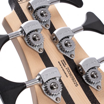 Cort A5 Beyond 5 String Bass Guitar with Case