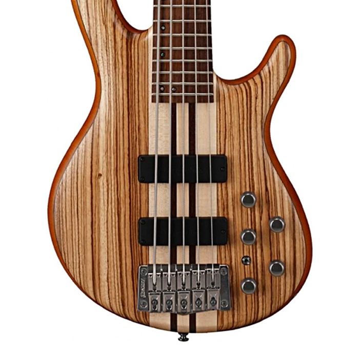 Cort A5 CUSTOM Z Bass Guitar With Case