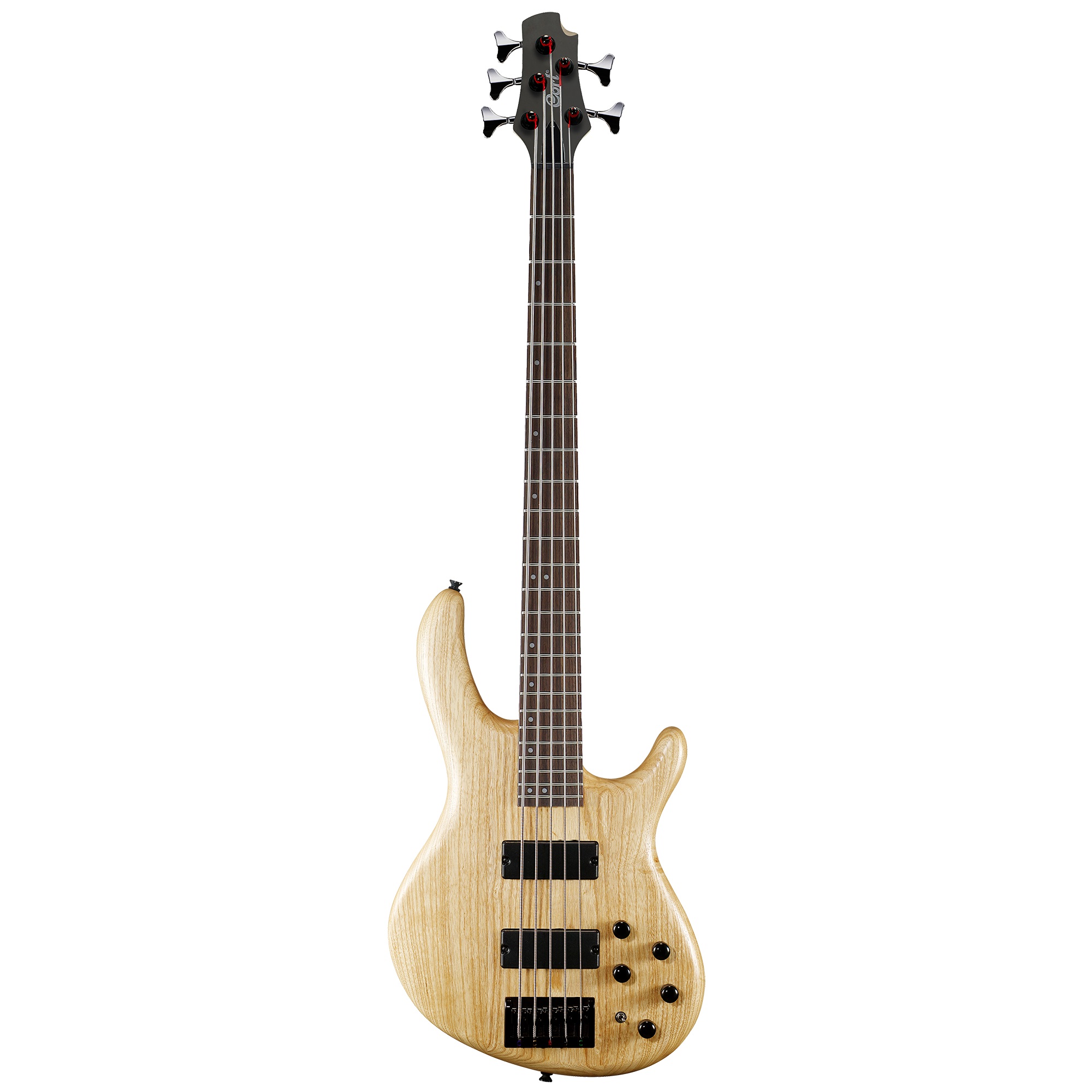 Cort Action DLX V AS OPN 5-String Bass Guitar