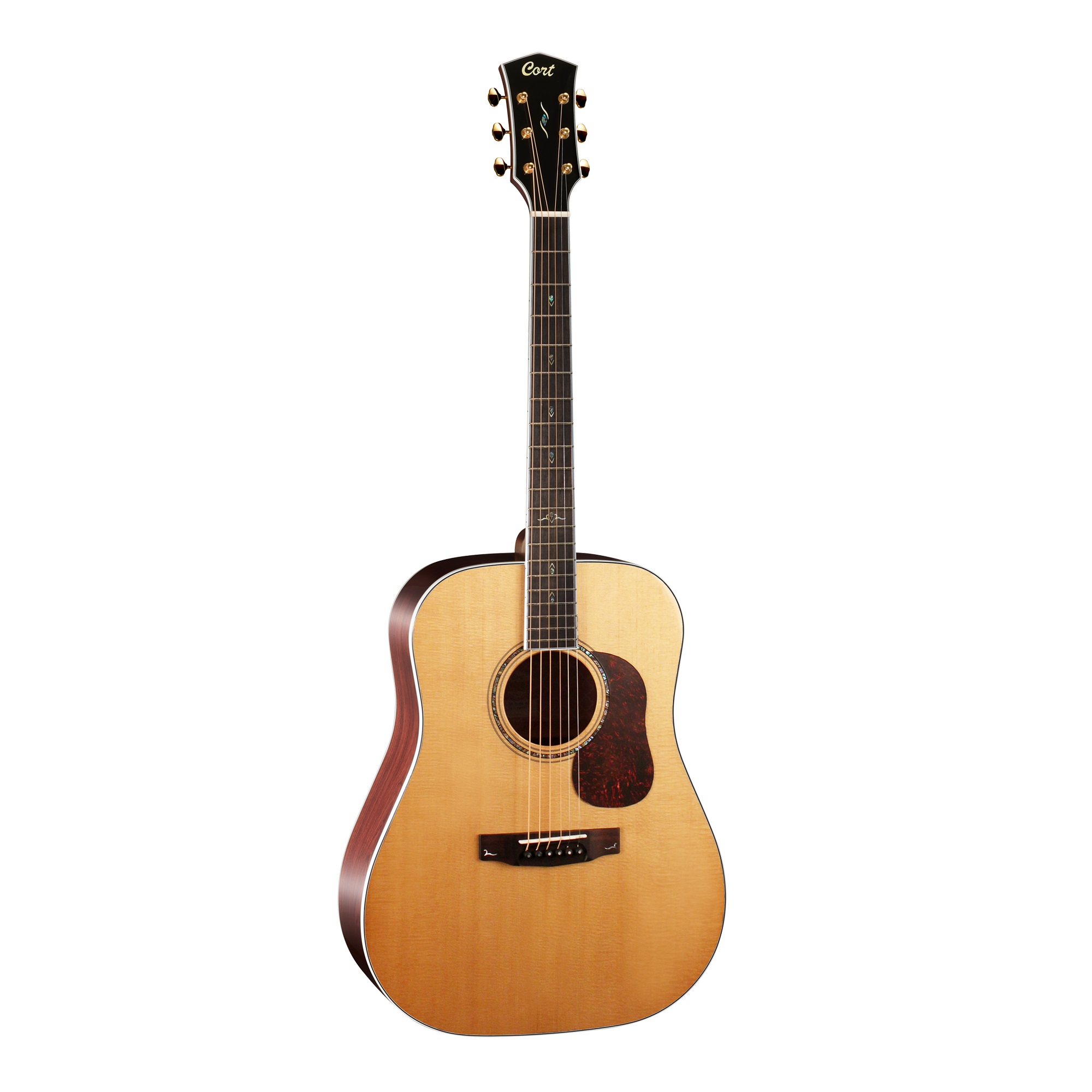 Cort Gold D8 Acoustic Guitar