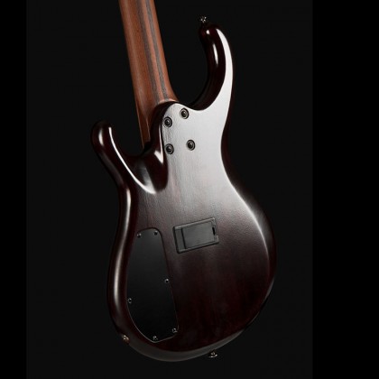 Cort Persona 5 Blue Resin Burl 5-String Bass Guitar