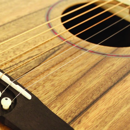 Cort SFX-DAO Electro Acoustic Guitar