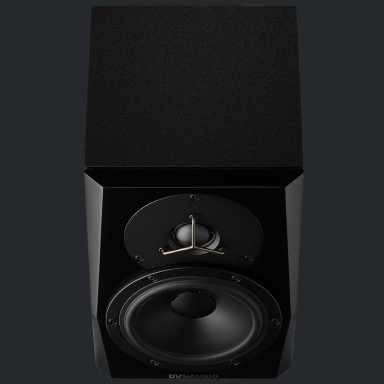 Dynaudio Acoustics LYD 5 Nearfield 5 Speaker Monitor - Single